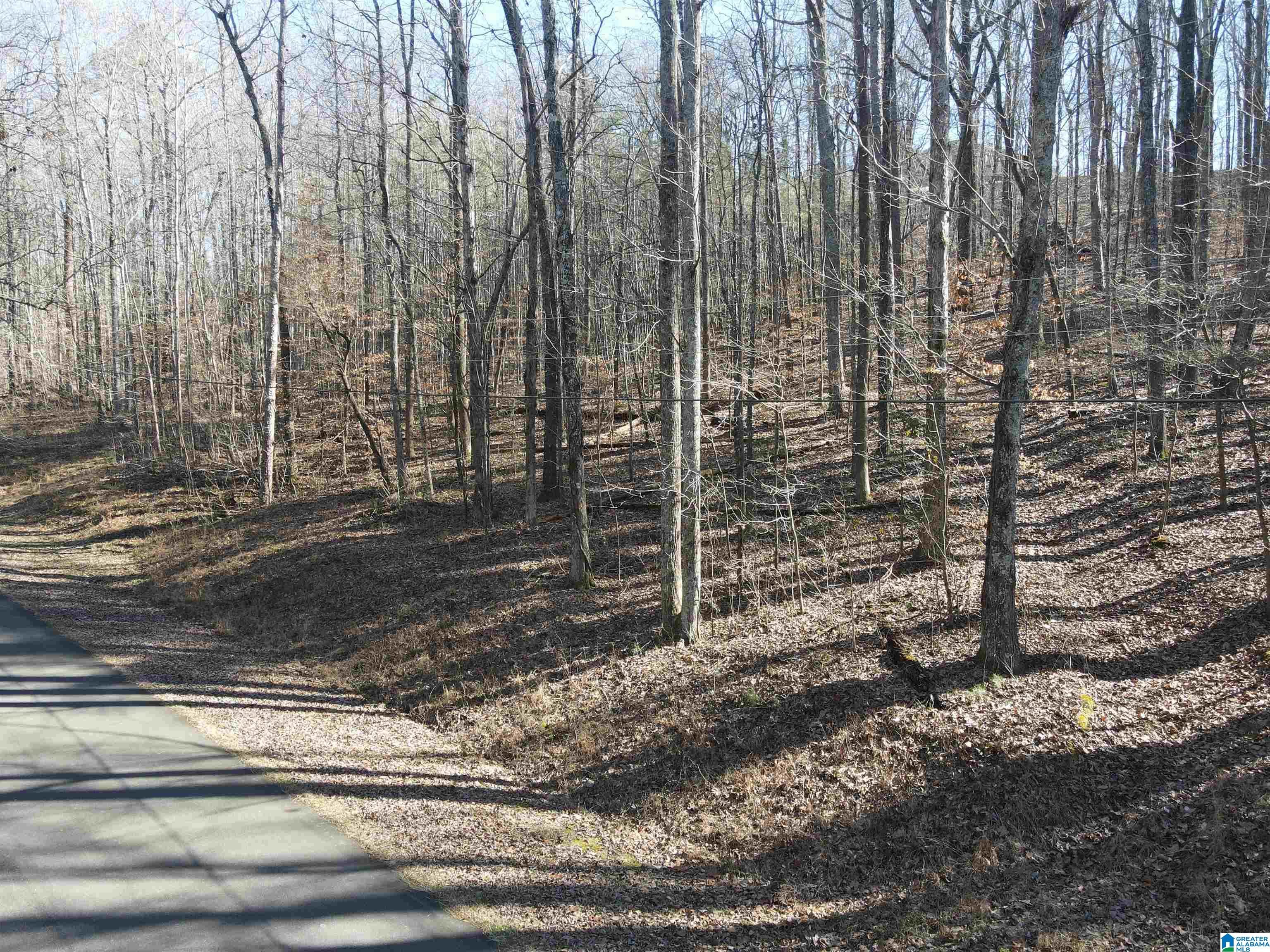 Homes for sale in Trussville, AL | 7613 Cottonridge Road, Trussville, AL 35173 | MLS# 21443070