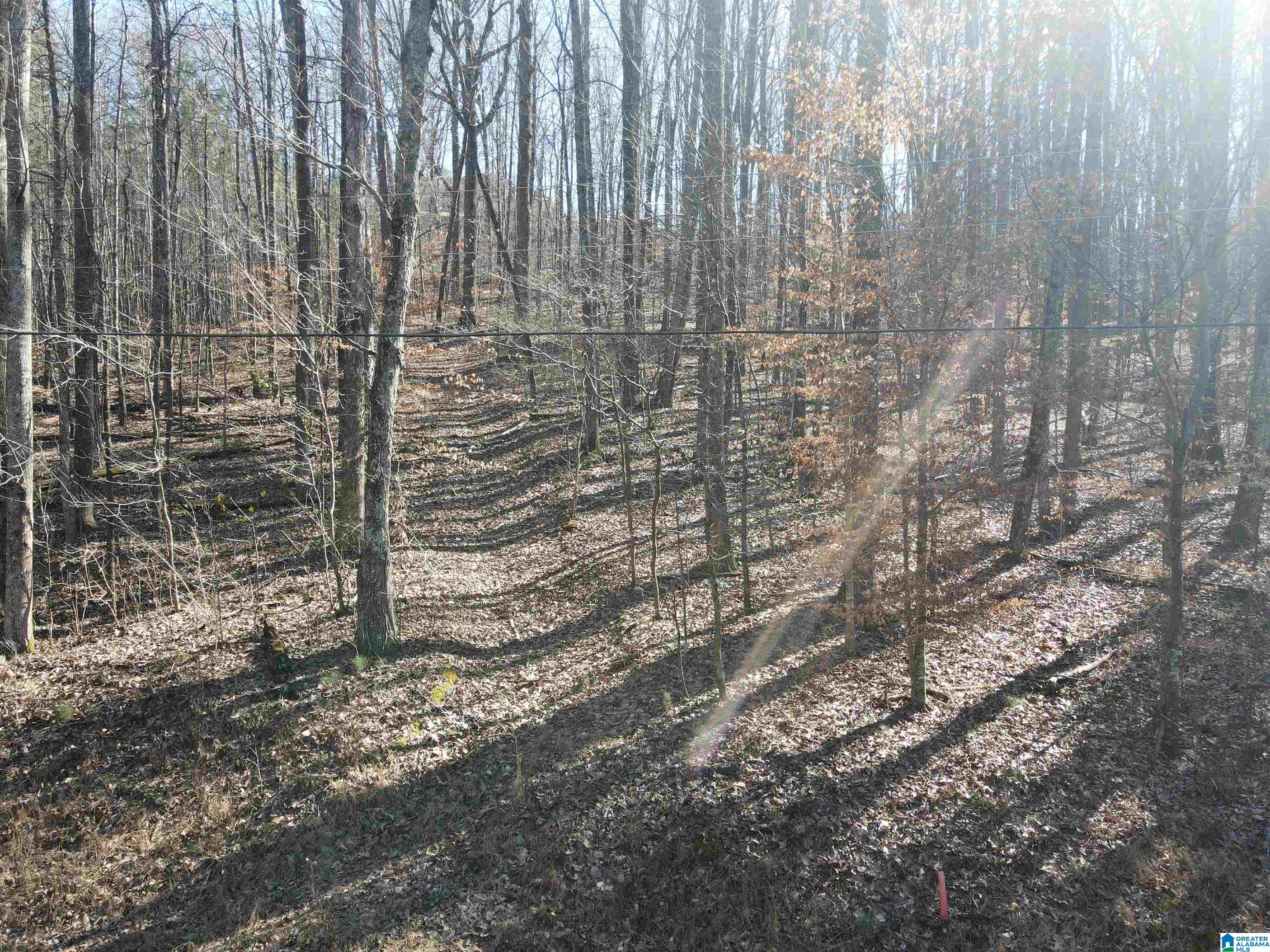 Homes for sale in Trussville, AL | 7613 Cottonridge Road, Trussville, AL 35173 | MLS# 21443070