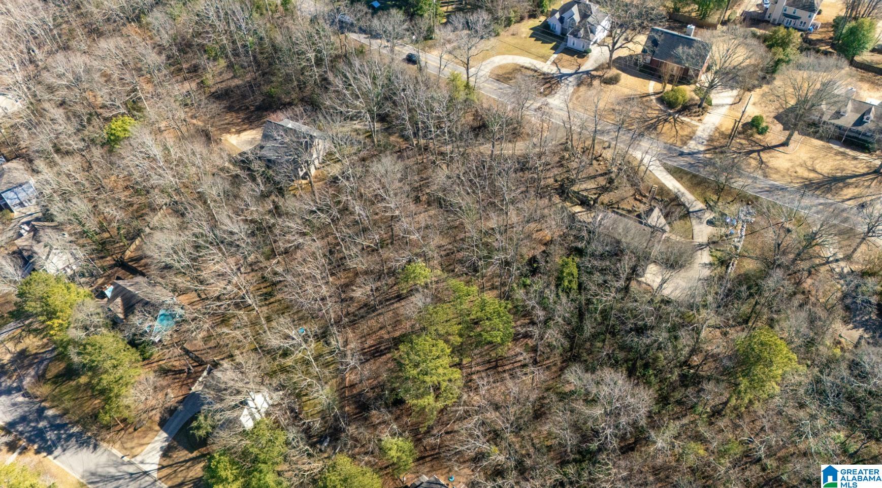 Homes for sale in Hoover, AL | 0 South Shades Crest Road, Hoover, AL 35244 | MLS# 21443074