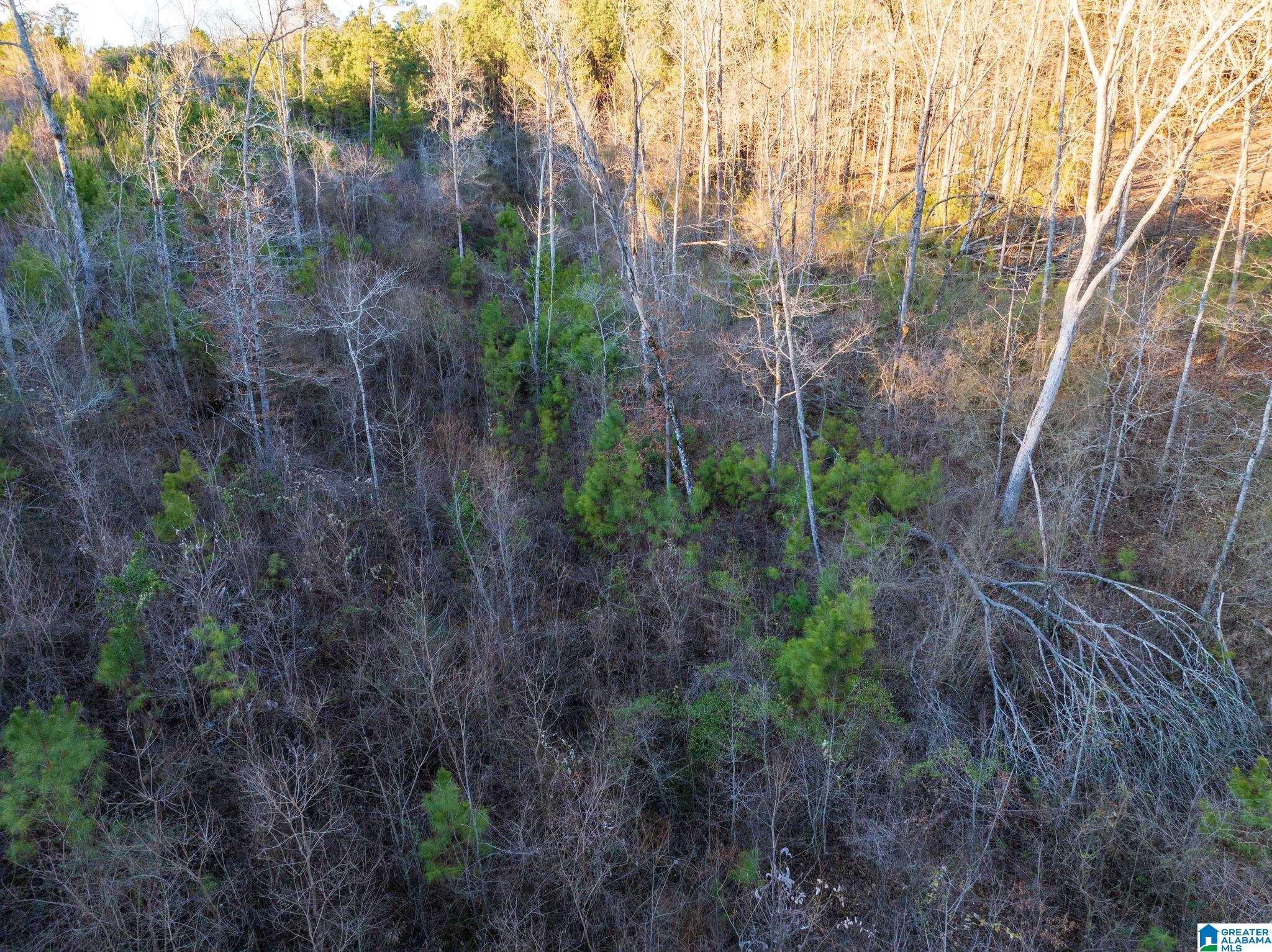 Homes for sale in Jasper, AL | Pinedale Shores, Jasper, AL 35504 | MLS# 21443085