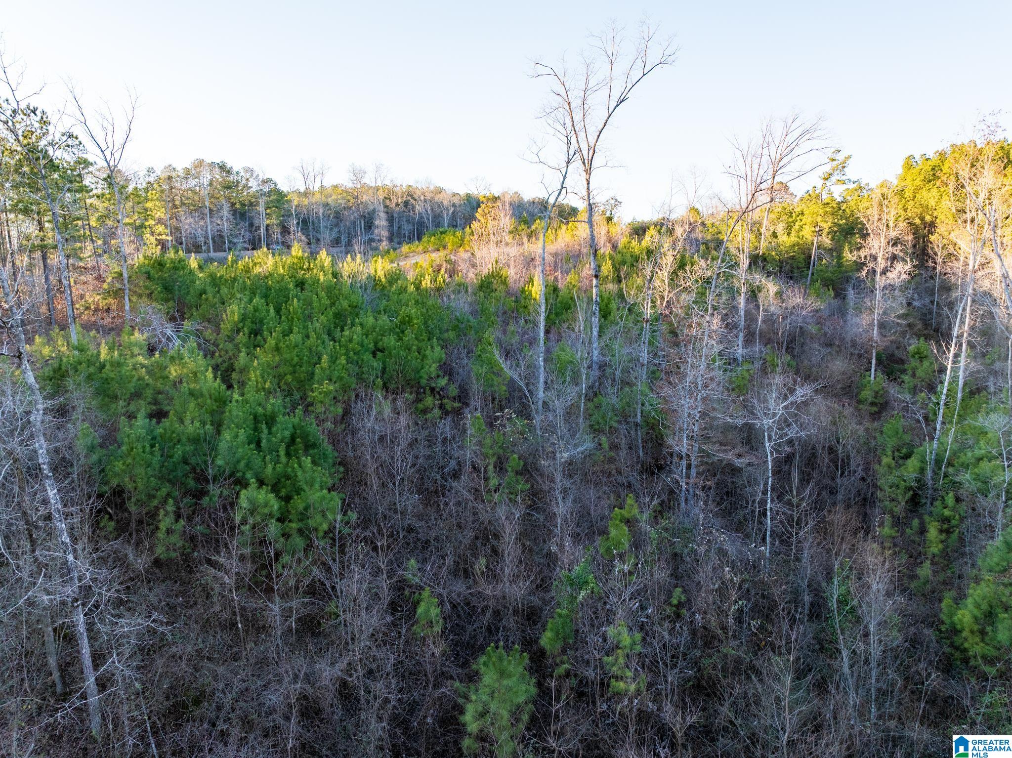 Homes for sale in Jasper, AL | Pinedale Shores, Jasper, AL 35504 | MLS# 21443085