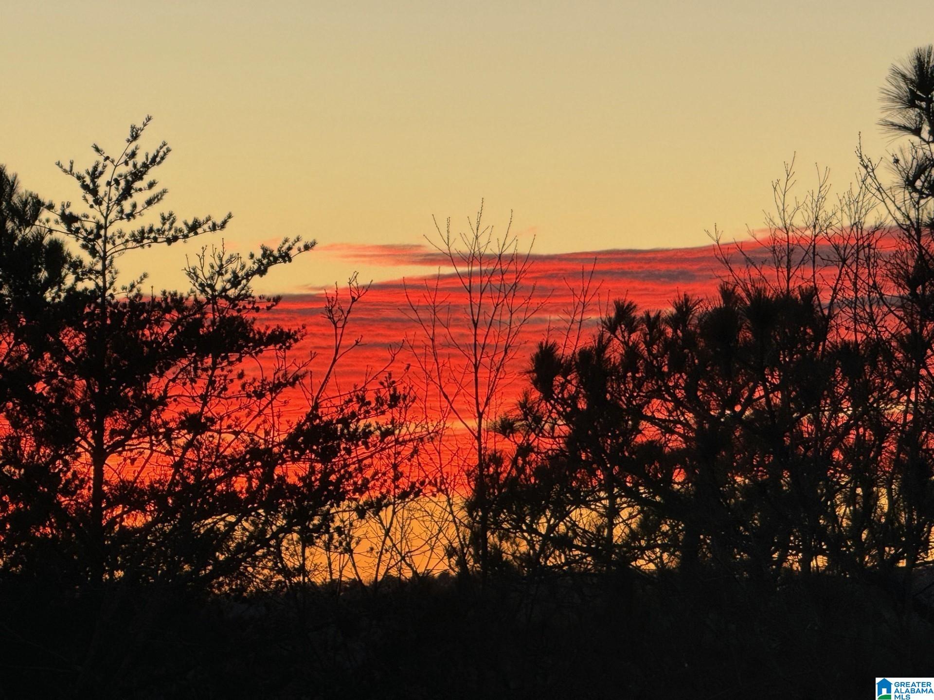 Homes for sale in Chelsea, AL | 2080 Lindsay Lane, Chelsea, AL 35043 | MLS# 21443093