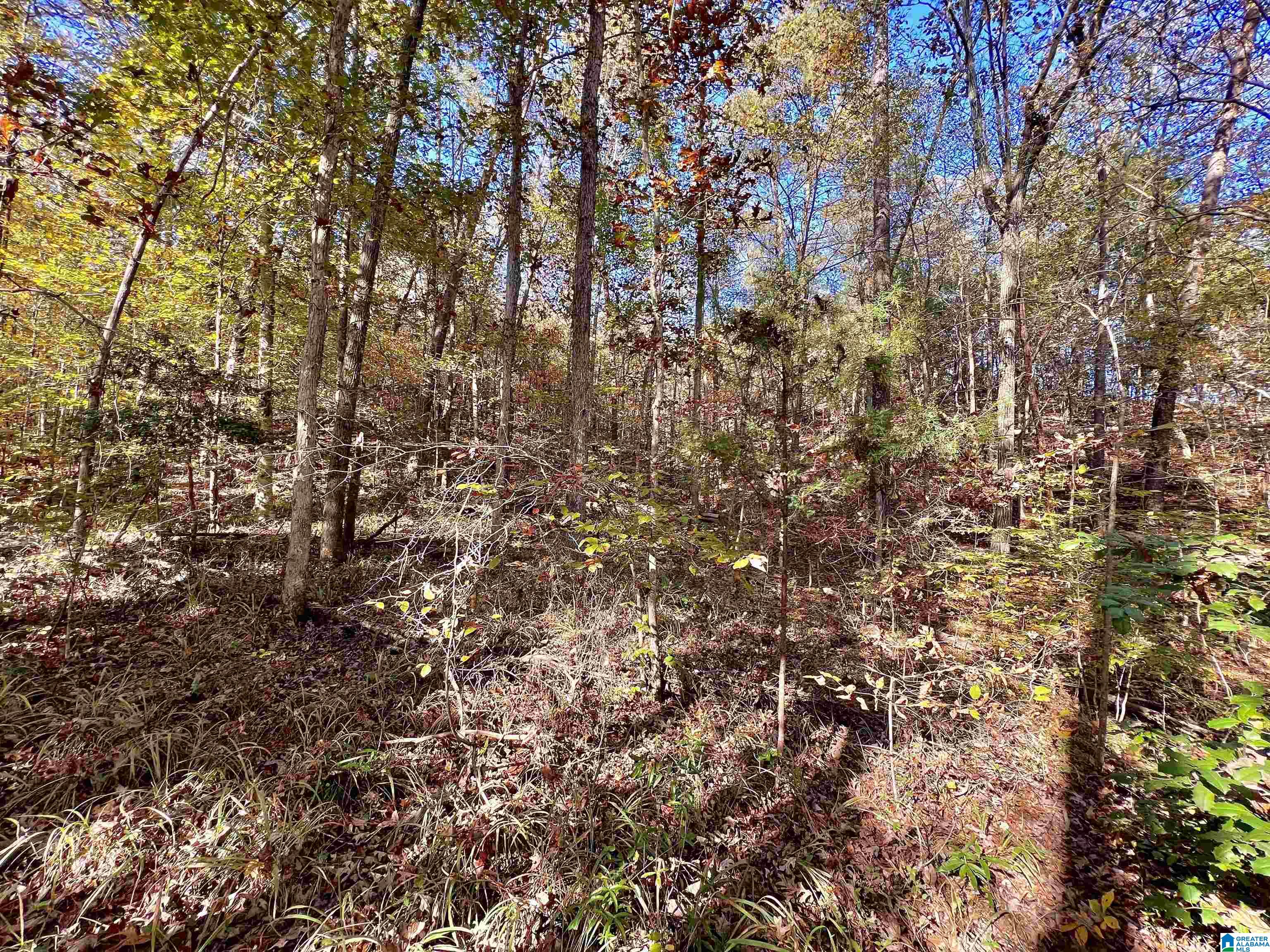 Homes for sale in Northport, AL | 00000 North River Circle, Northport, AL 35473 | MLS# 21443098