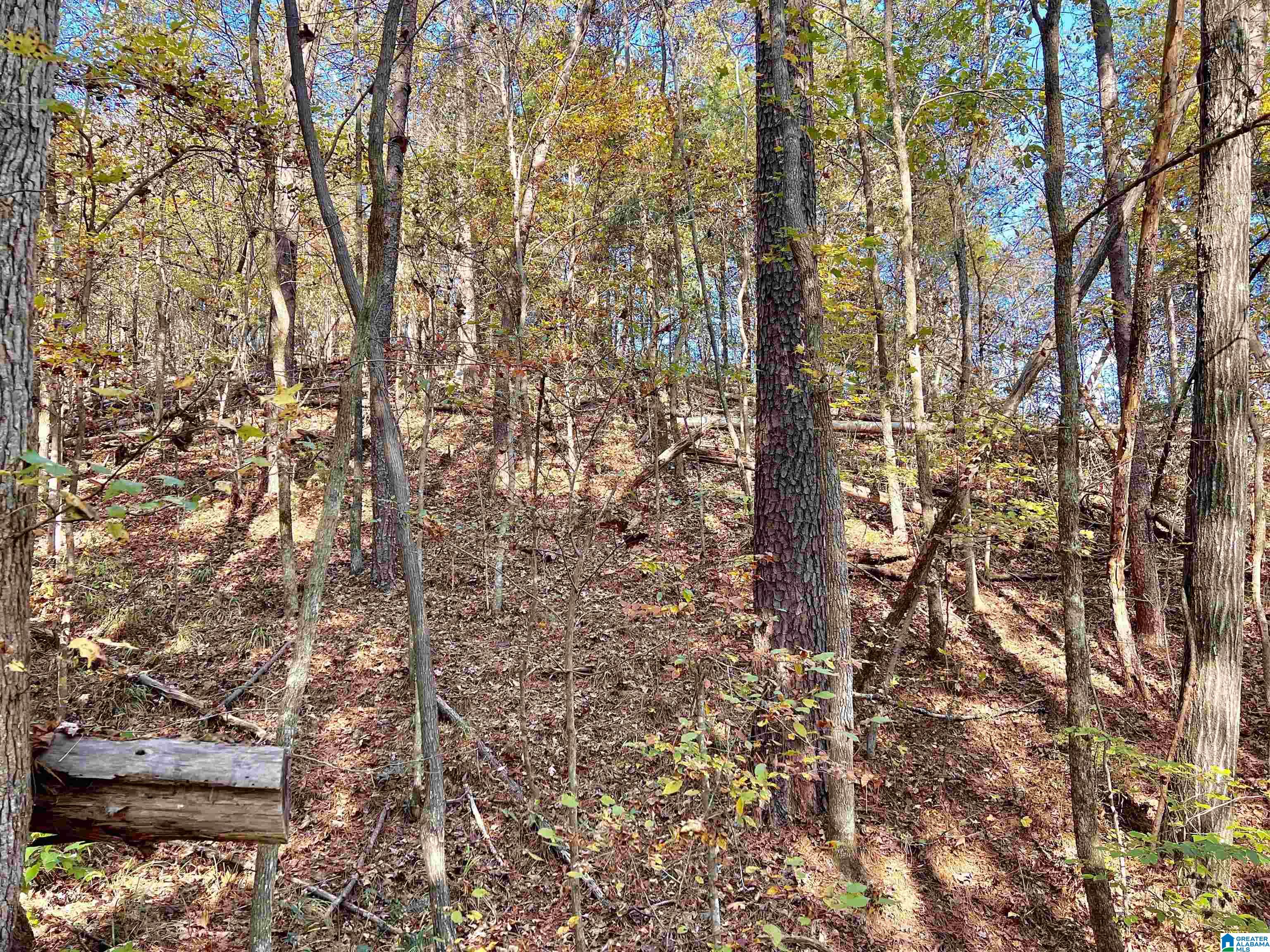 Homes for sale in Northport, AL | 00000 North River Circle, Northport, AL 35473 | MLS# 21443098