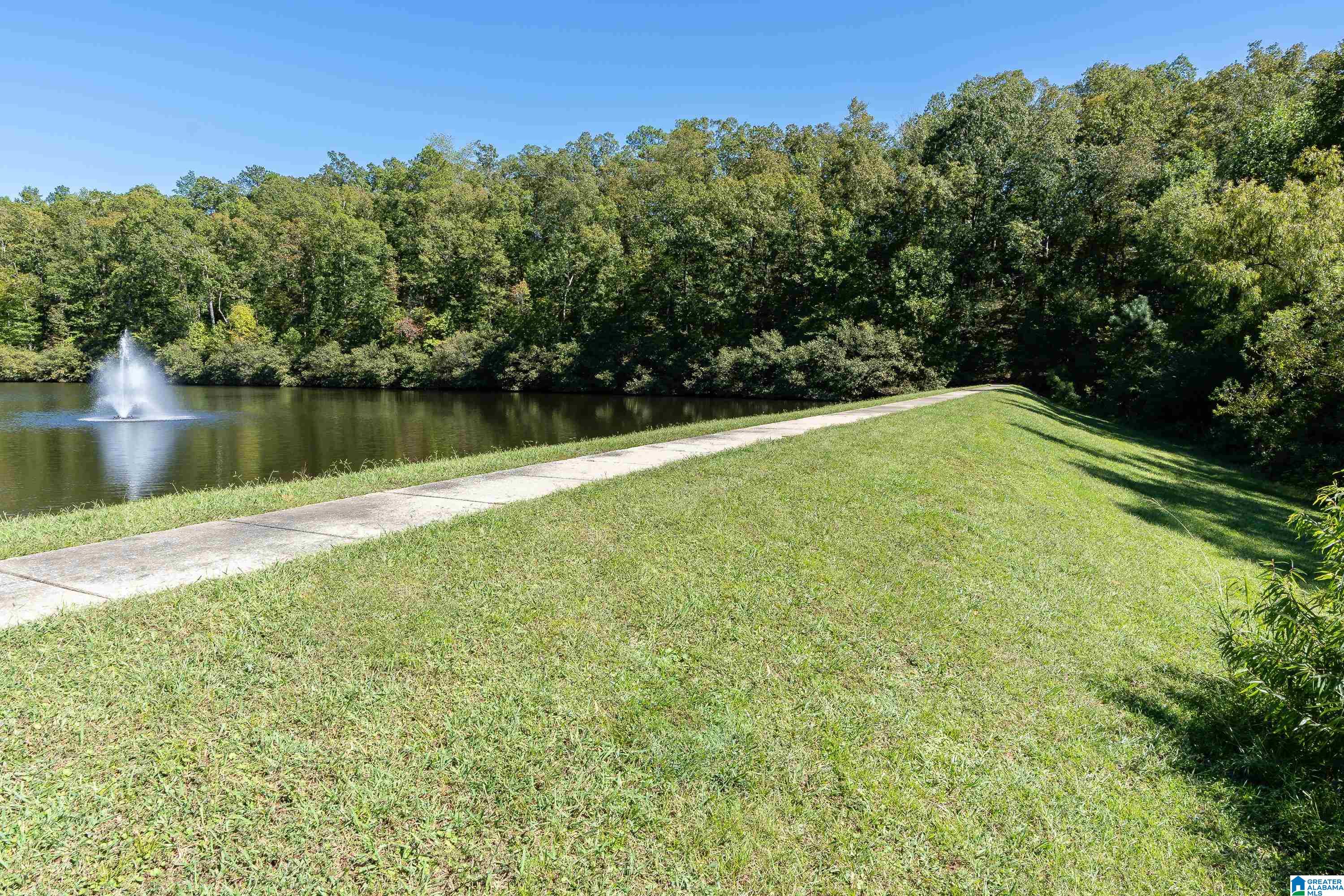 Homes for sale in Chelsea, AL | 414 Chesser Plantation Lane, Chelsea, AL 35043 | MLS# 21443101