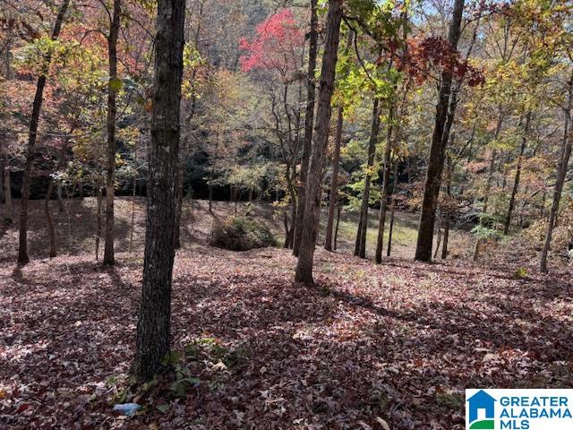 Homes for sale in Wedowee, AL | 830 County Road 269, Wedowee, AL 36278 | MLS# 21443111