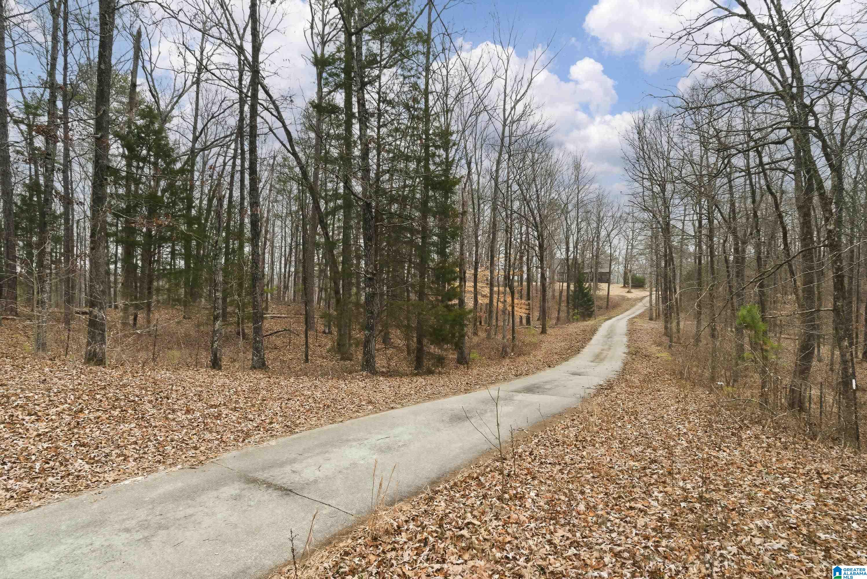 Homes for sale in Pelham, AL | 4220 Hwy 11, Pelham, AL 35124 | MLS# 21443132