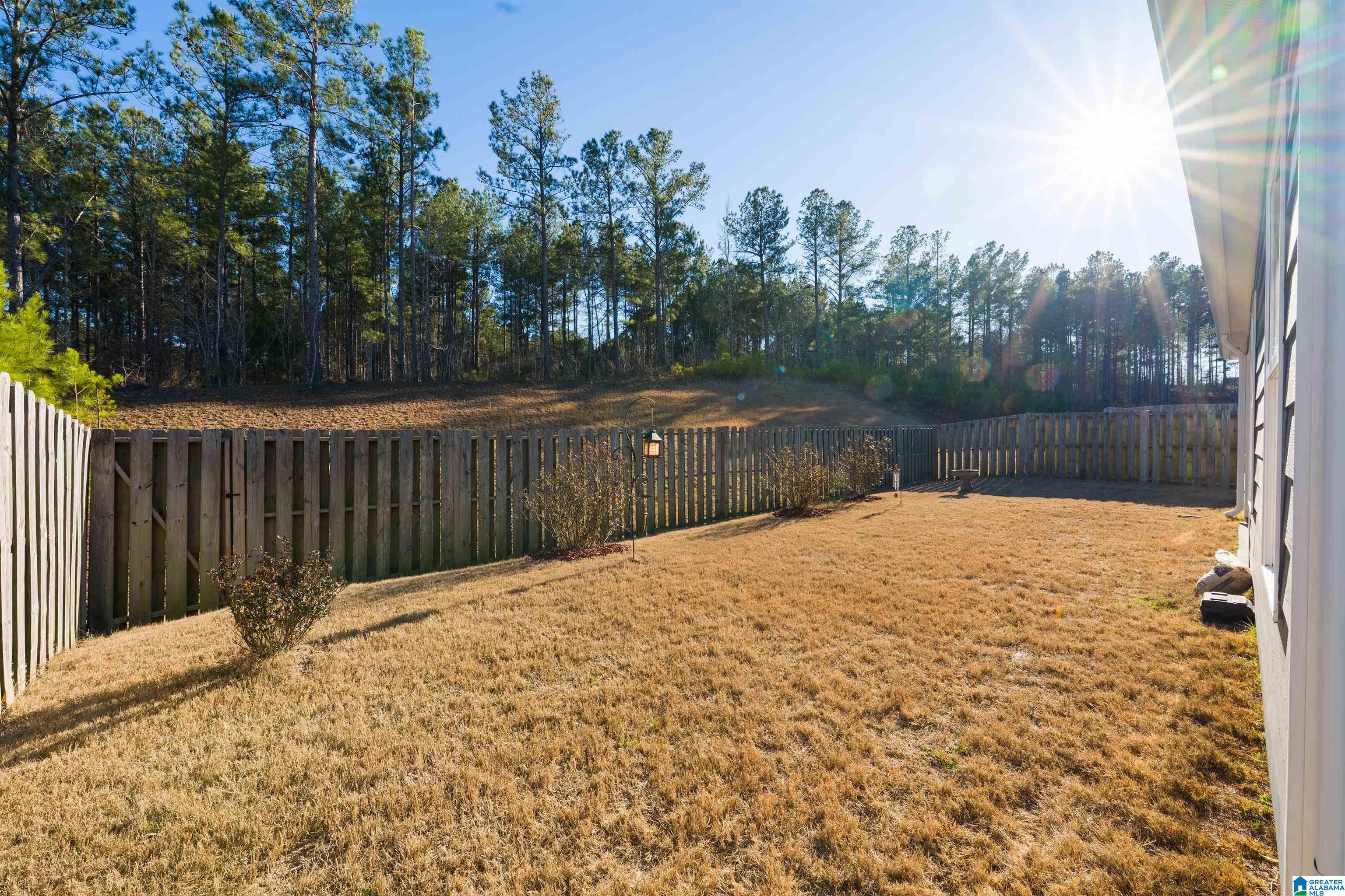 Homes for sale in Chelsea, AL | 2020 Park Springs Lane, Chelsea, AL 35043 | MLS# 21443133