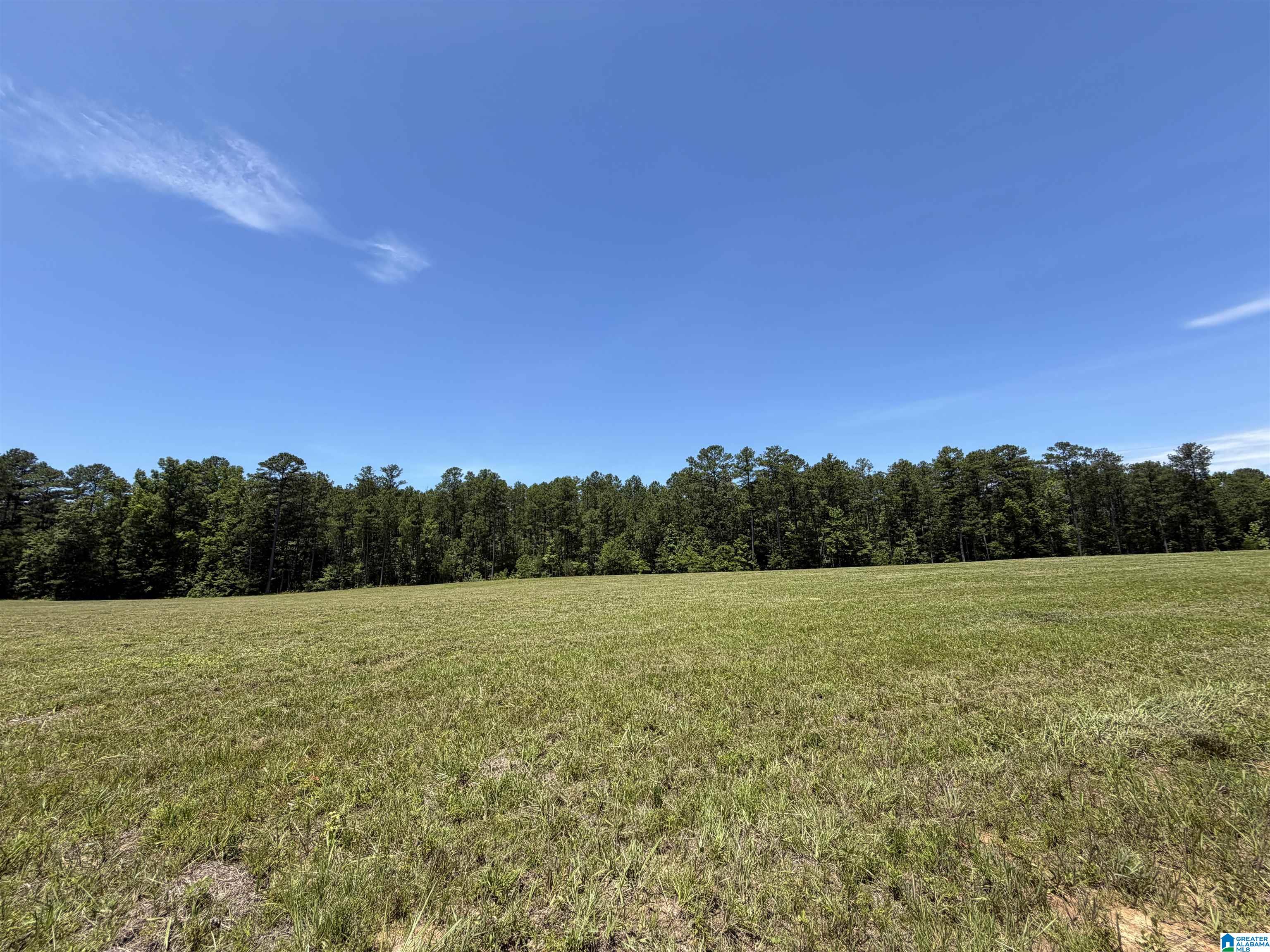 Lot 2 CEDAR SPRINGS DRIVE