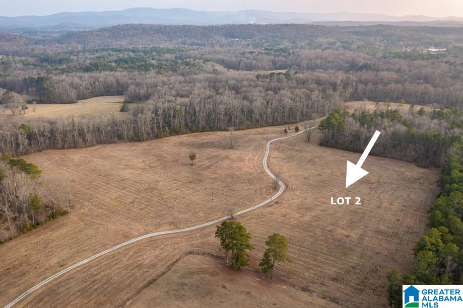 Homes for sale in Jacksonville, AL | Lot 2 Cedar Springs Dr, Jacksonville, AL 36265 | MLS# 21443143