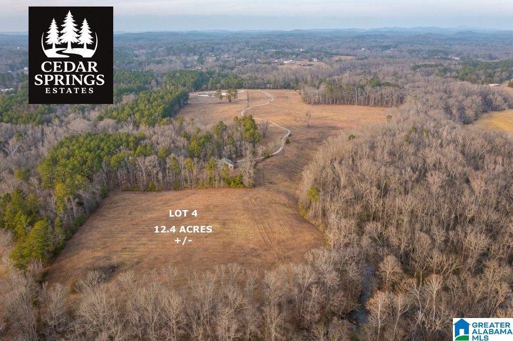 Homes for sale in Jacksonville, AL | Lot 2 Cedar Springs Dr, Jacksonville, AL 36265 | MLS# 21443143