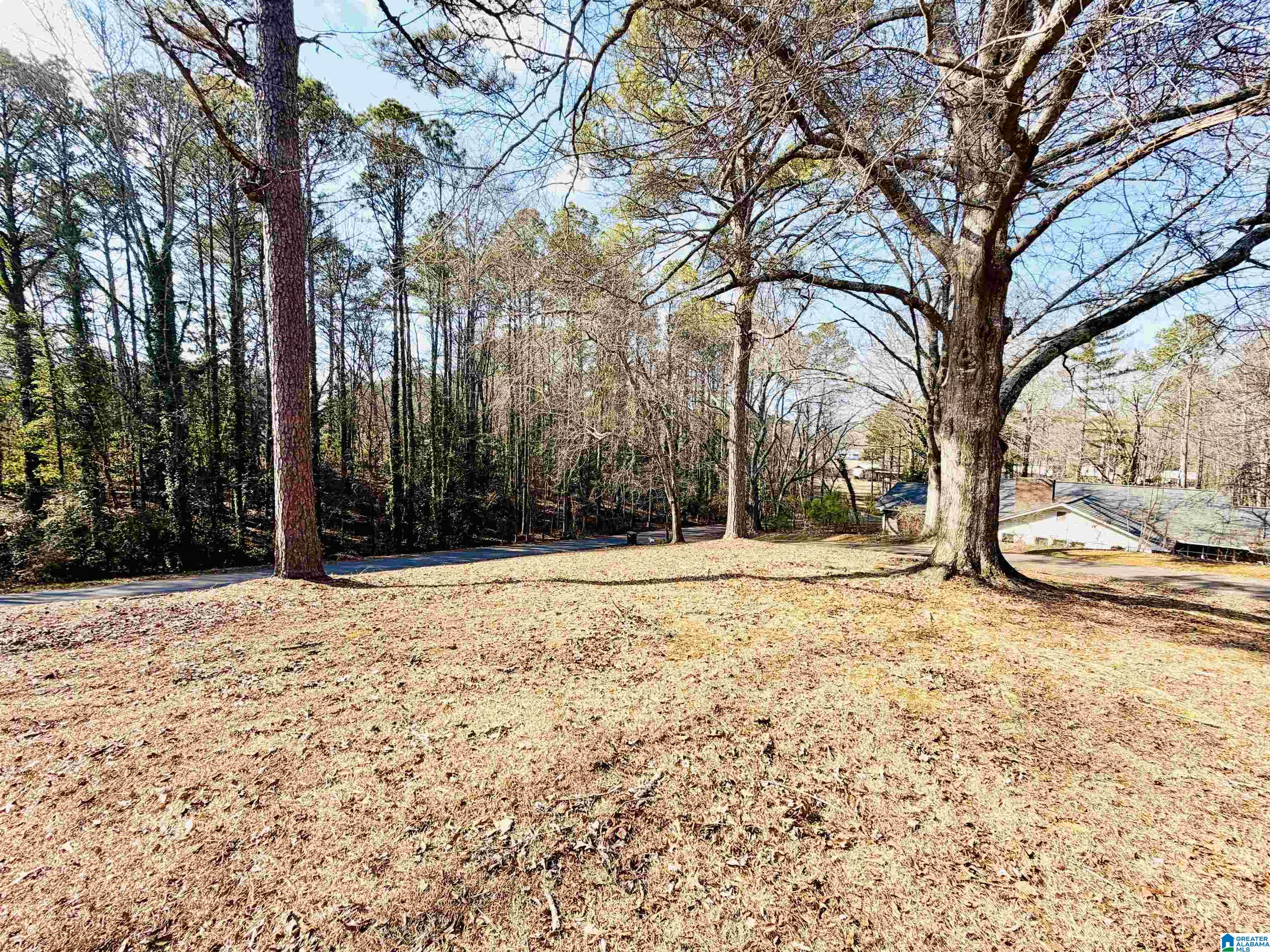 Homes for sale in Heflin, AL | 61 Ryans Way, Heflin, AL 36264 | MLS# 21443147