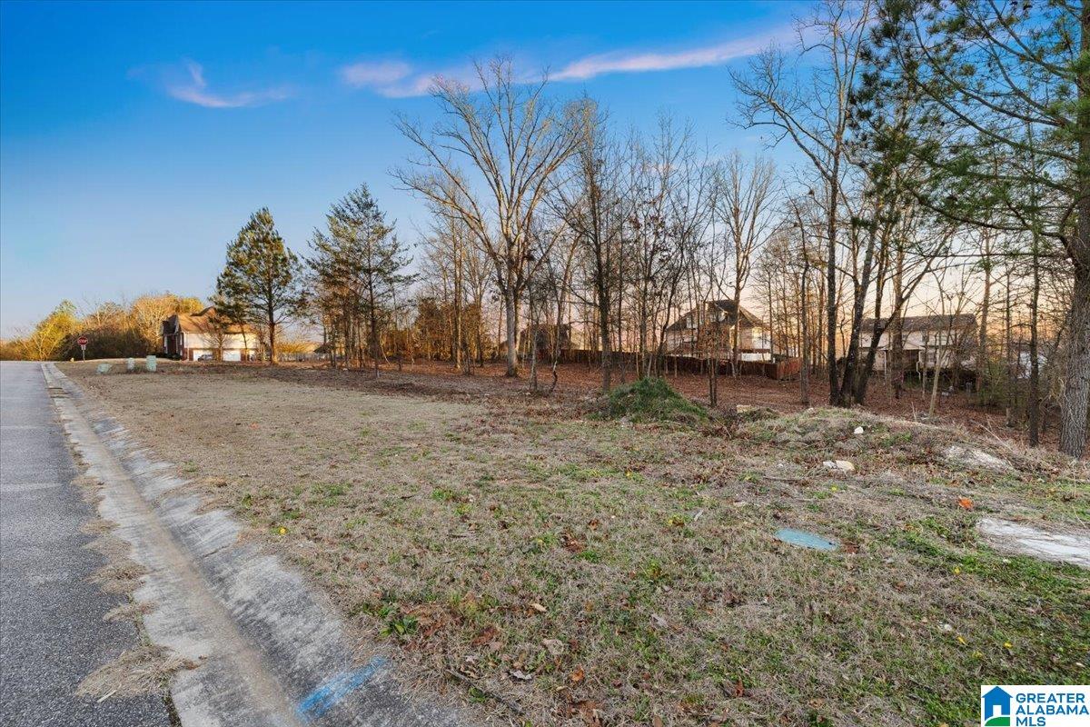 Homes for sale in Pinson, AL | 4457 Littleleaf Way, Pinson, AL 35126 | MLS# 21443148