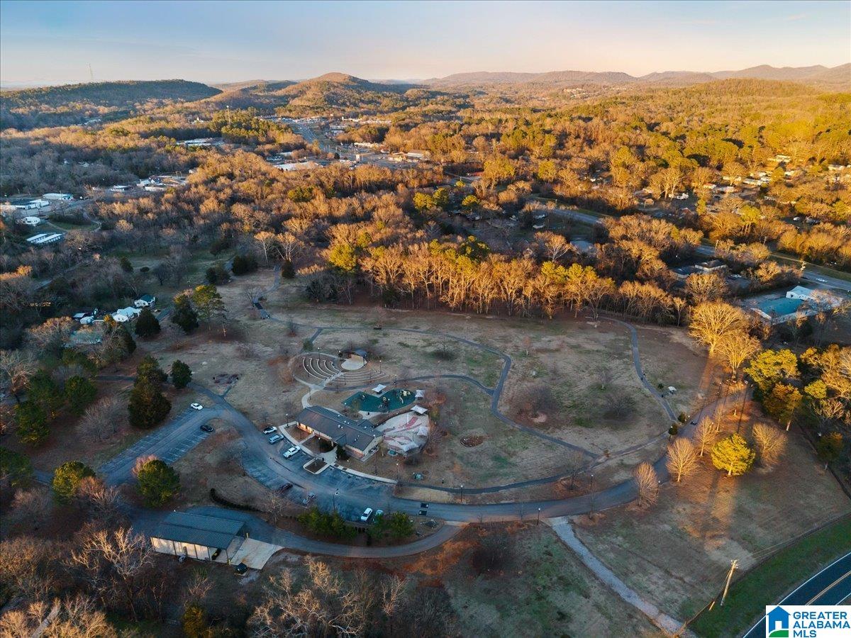 Homes for sale in Pinson, AL | 4457 Littleleaf Way, Pinson, AL 35126 | MLS# 21443148