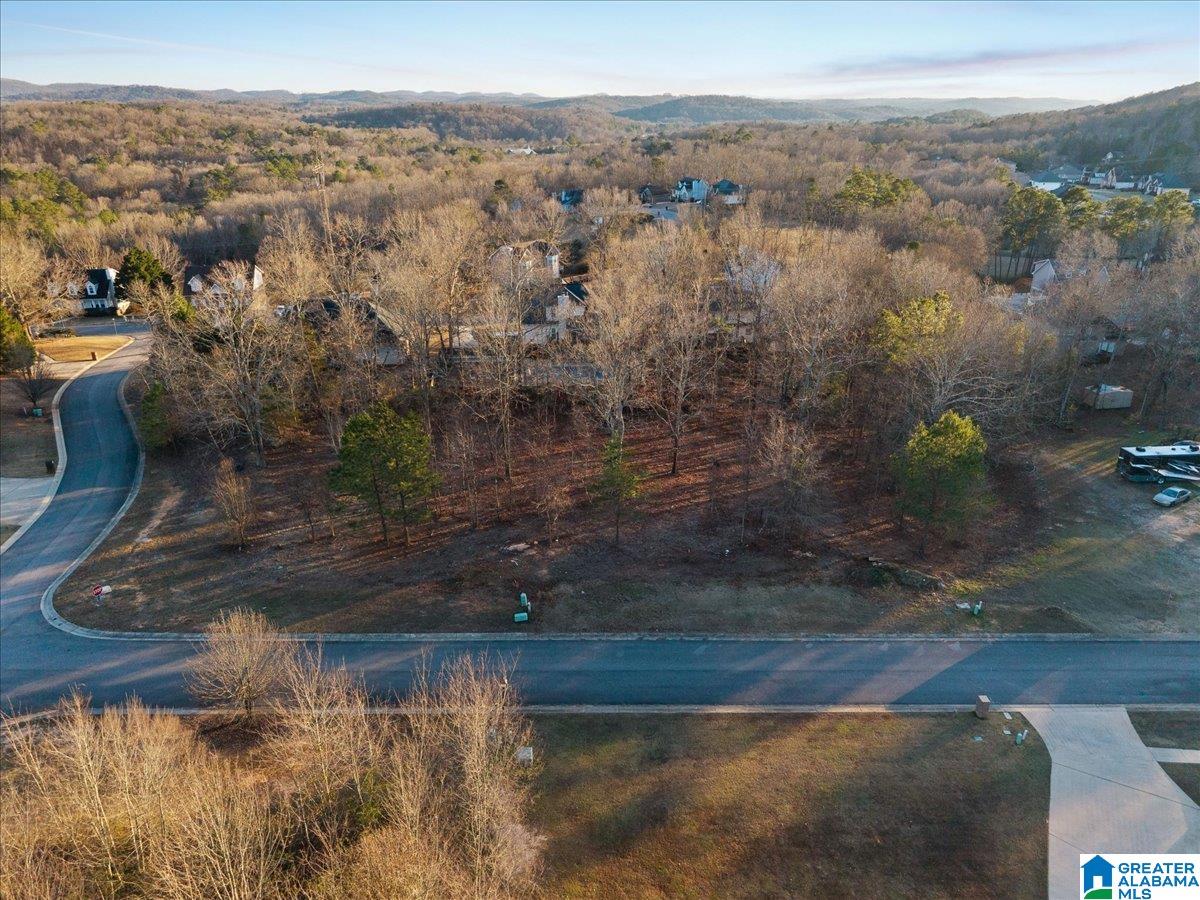 Homes for sale in Pinson, AL | 4457 Littleleaf Way, Pinson, AL 35126 | MLS# 21443148