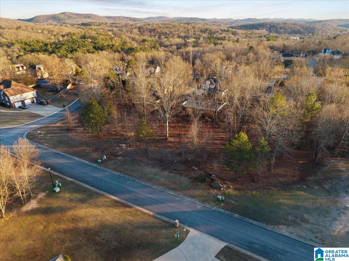 Homes for sale in Pinson, AL | 4457 Littleleaf Way, Pinson, AL 35126 | MLS# 21443148