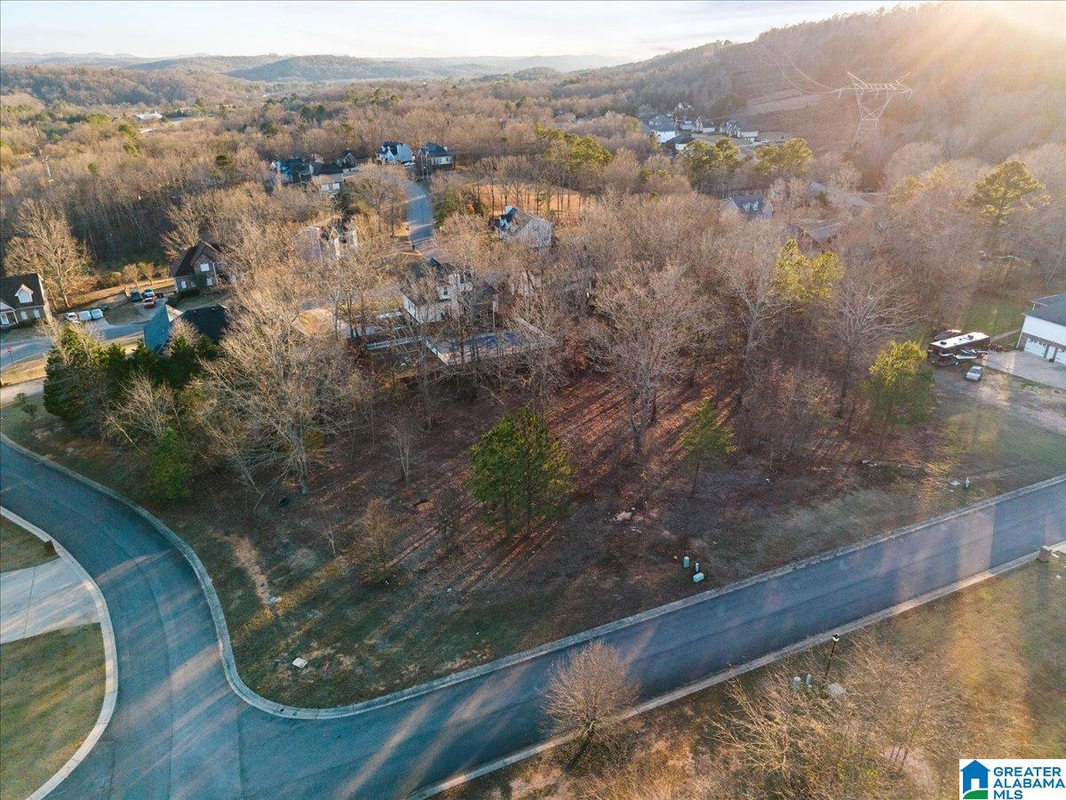 Homes for sale in Pinson, AL | 4457 Littleleaf Way, Pinson, AL 35126 | MLS# 21443148