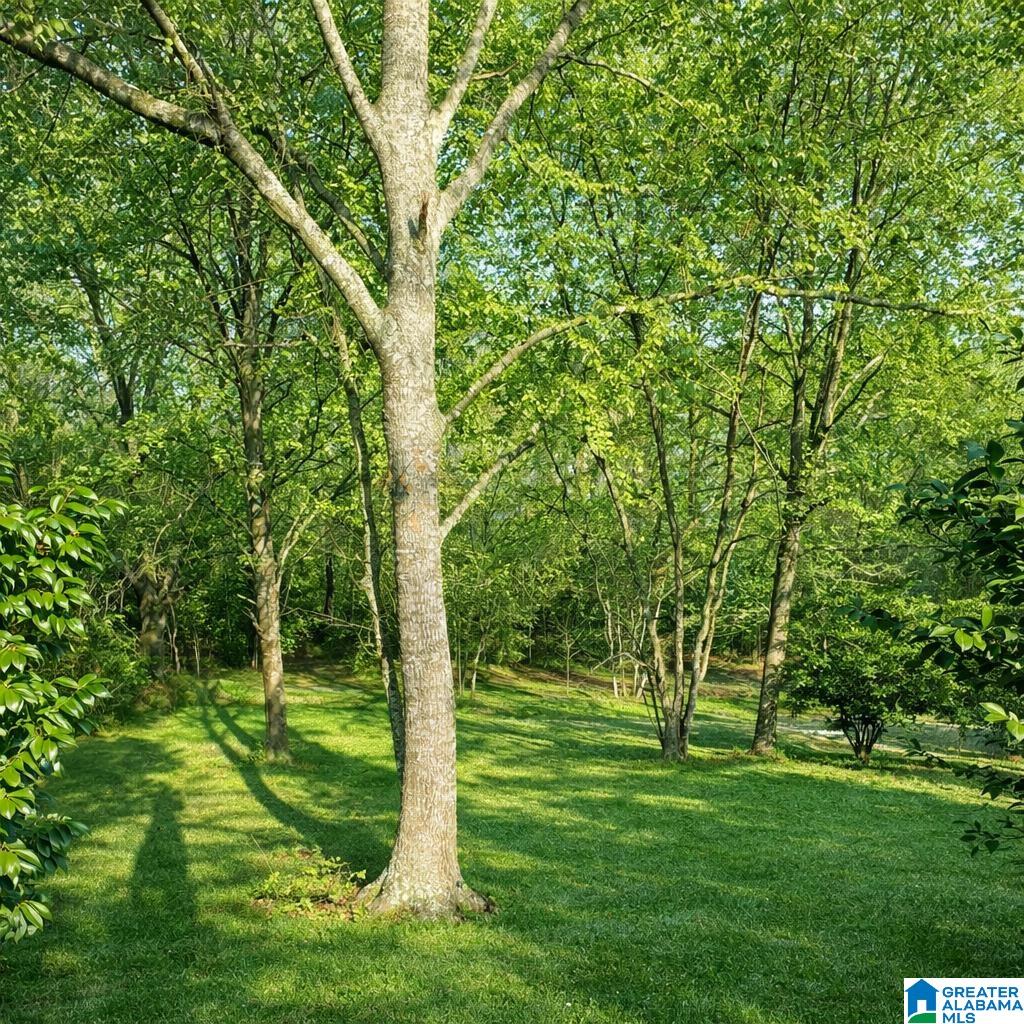 Homes for sale in Clanton, AL | 1302 Lay Dam Road, Clanton, AL 35045 | MLS# 21443157