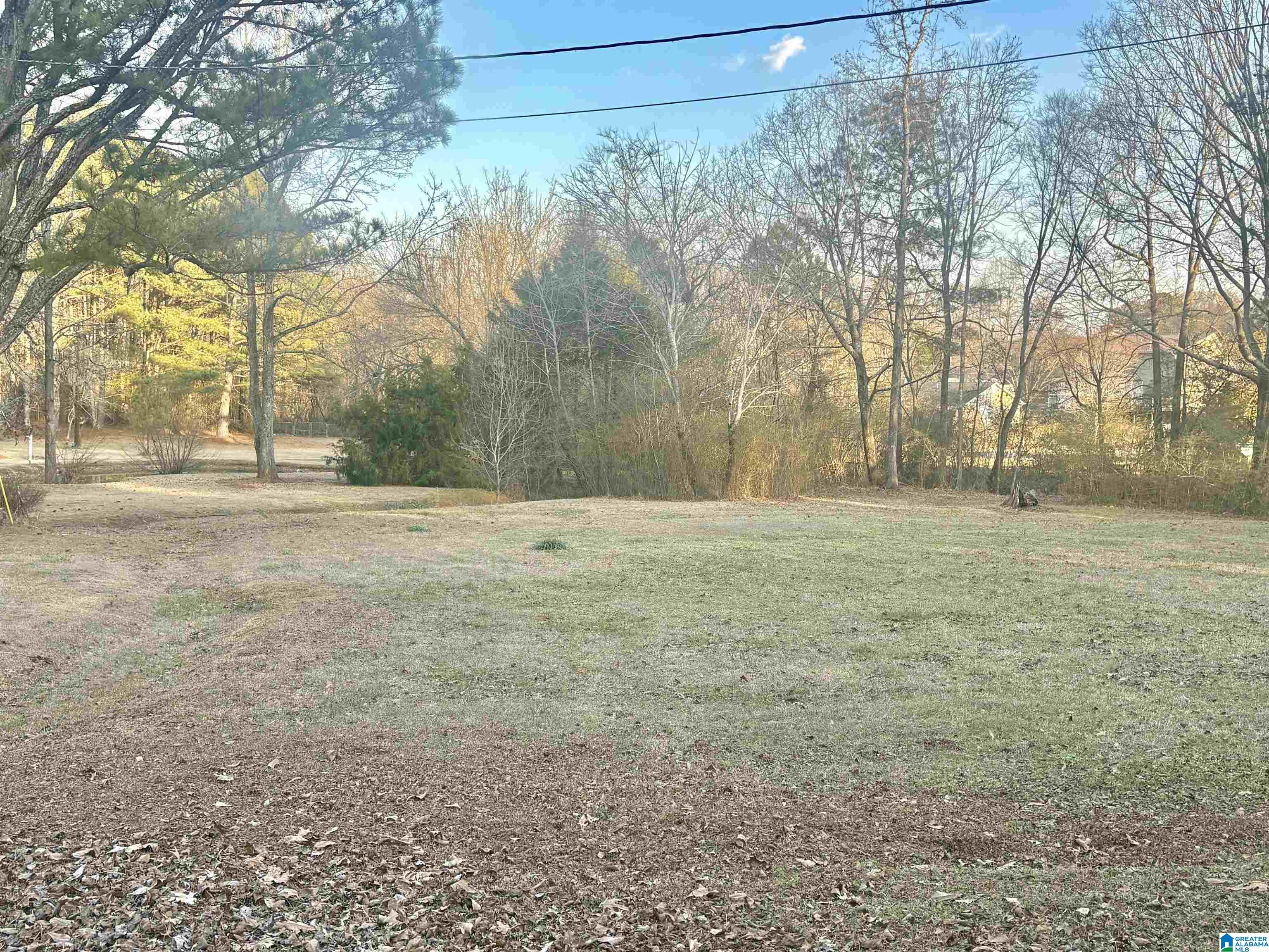 Homes for sale in Springville, AL | 30 Elizabeth Lane, Springville, AL 35146 | MLS# 21443159