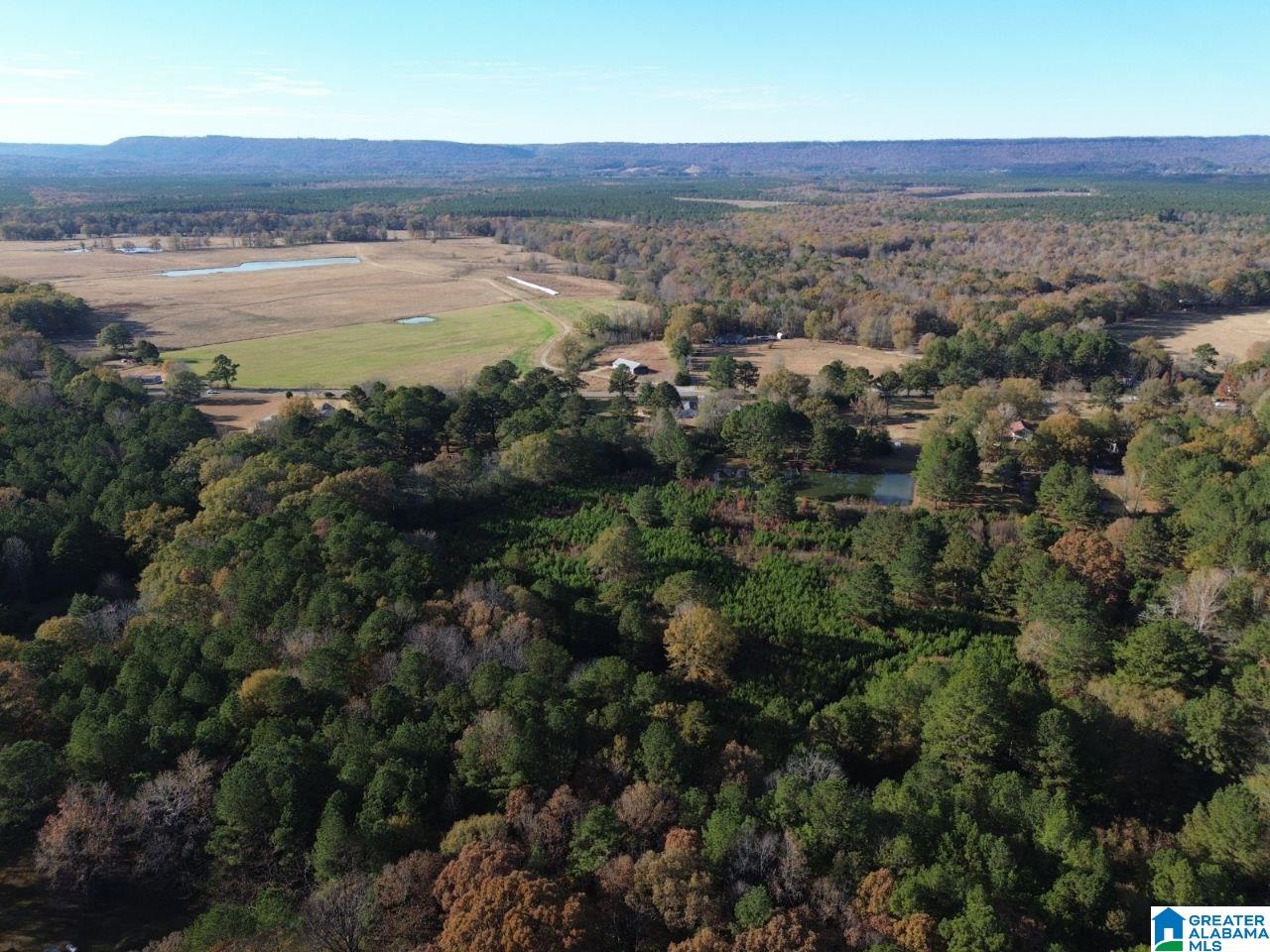 Homes for sale in Ashville, AL | 9 Loop Road, Ashville, AL 35953 | MLS# 21443168