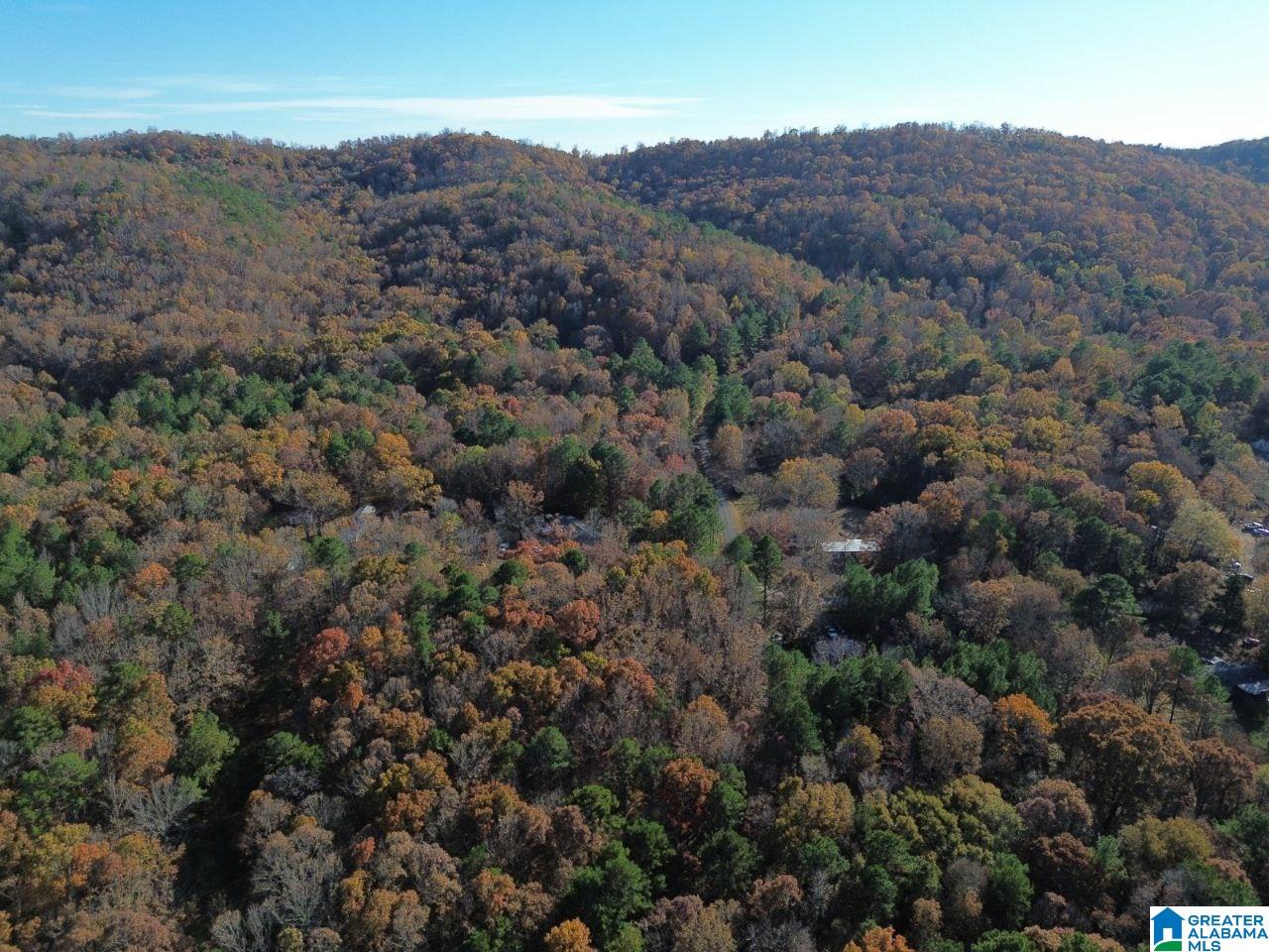 Homes for sale in Ashville, AL | 9 Loop Road, Ashville, AL 35953 | MLS# 21443168