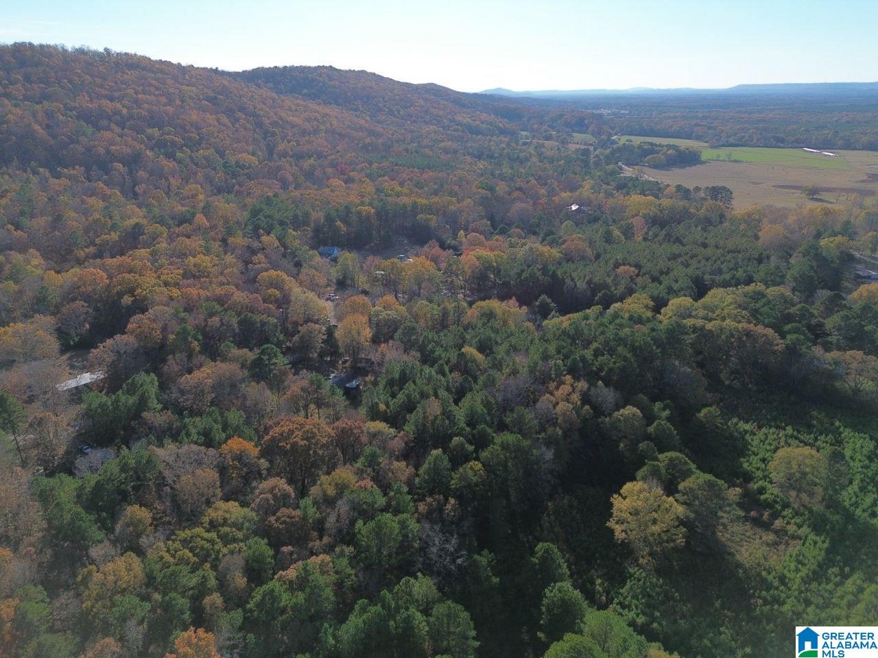 Homes for sale in Ashville, AL | 9 Loop Road, Ashville, AL 35953 | MLS# 21443168