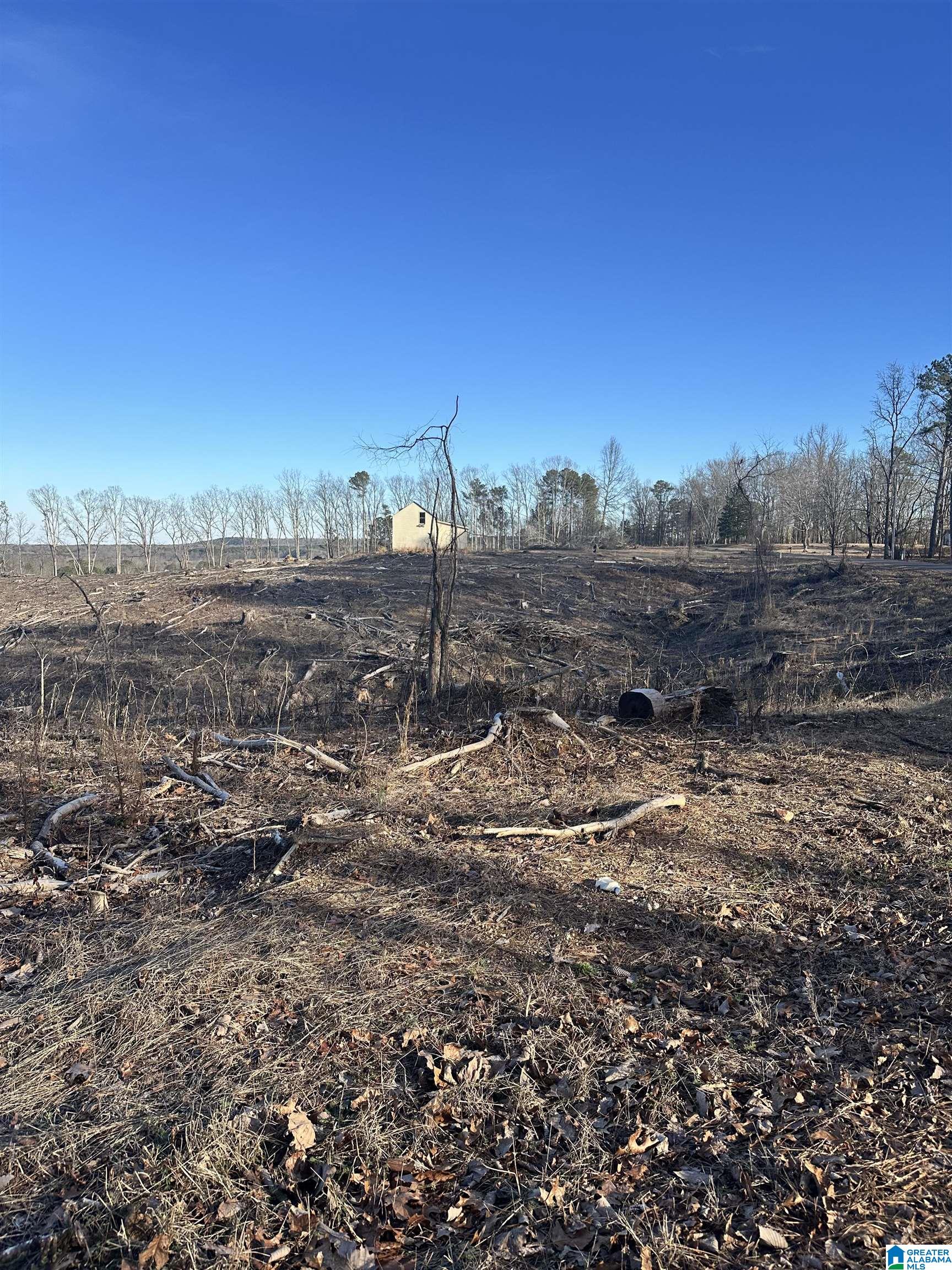 Homes for sale in Altoona, AL | 500 Haynes Road, Altoona, AL 35952 | MLS# 21443200