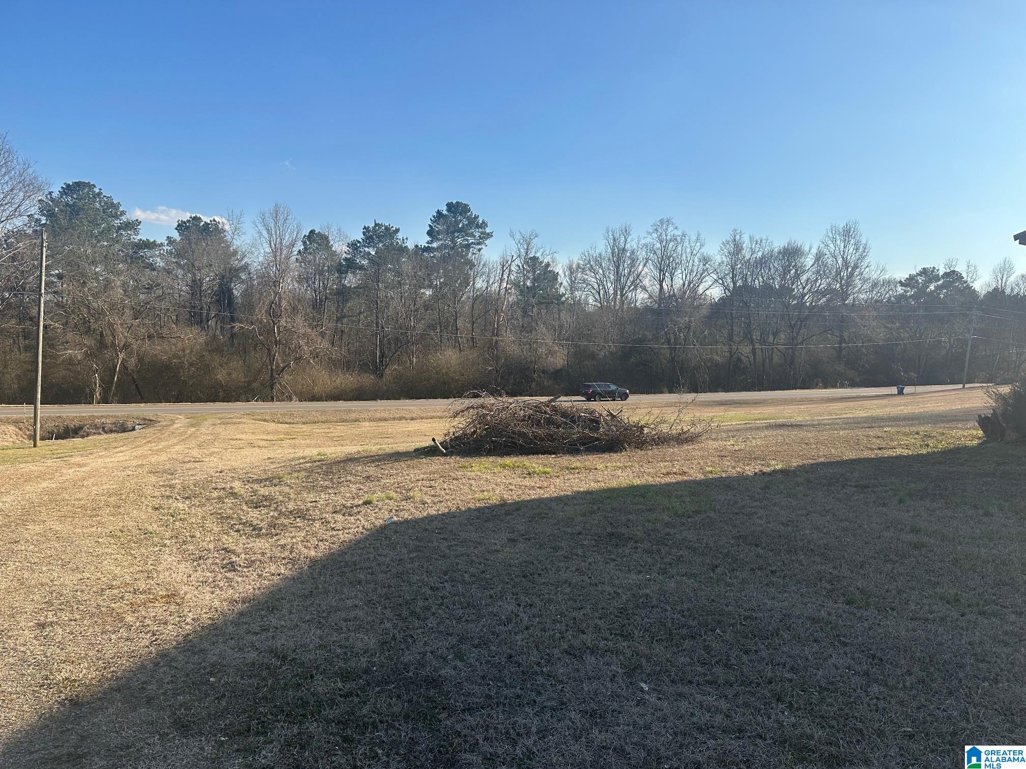 Homes for sale in Springville, AL | 16845 Us Hwy 11, Springville, AL 35146 | MLS# 21443208