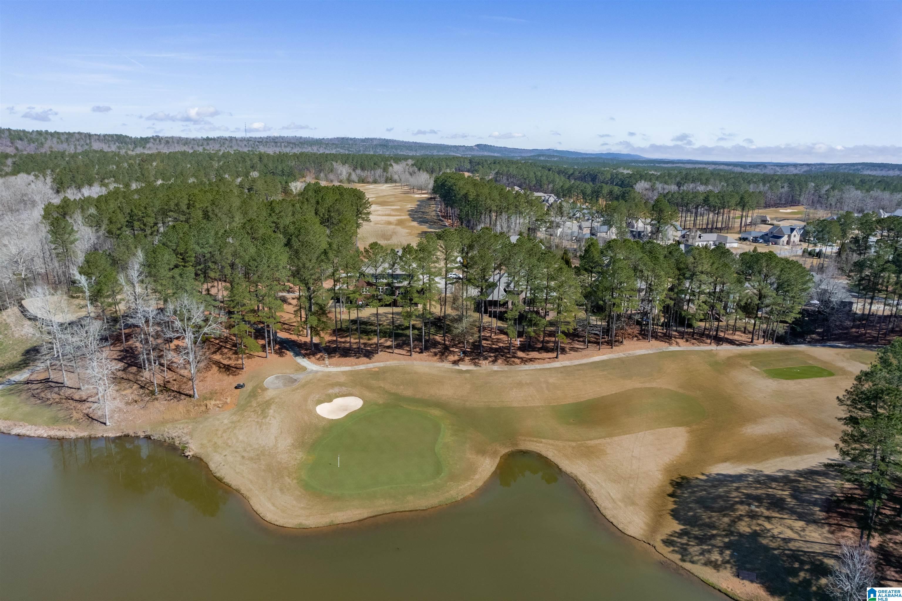 Homes for sale in Pelham, AL | 240 Strathaven Lane, Pelham, AL 35124 | MLS# 21443209