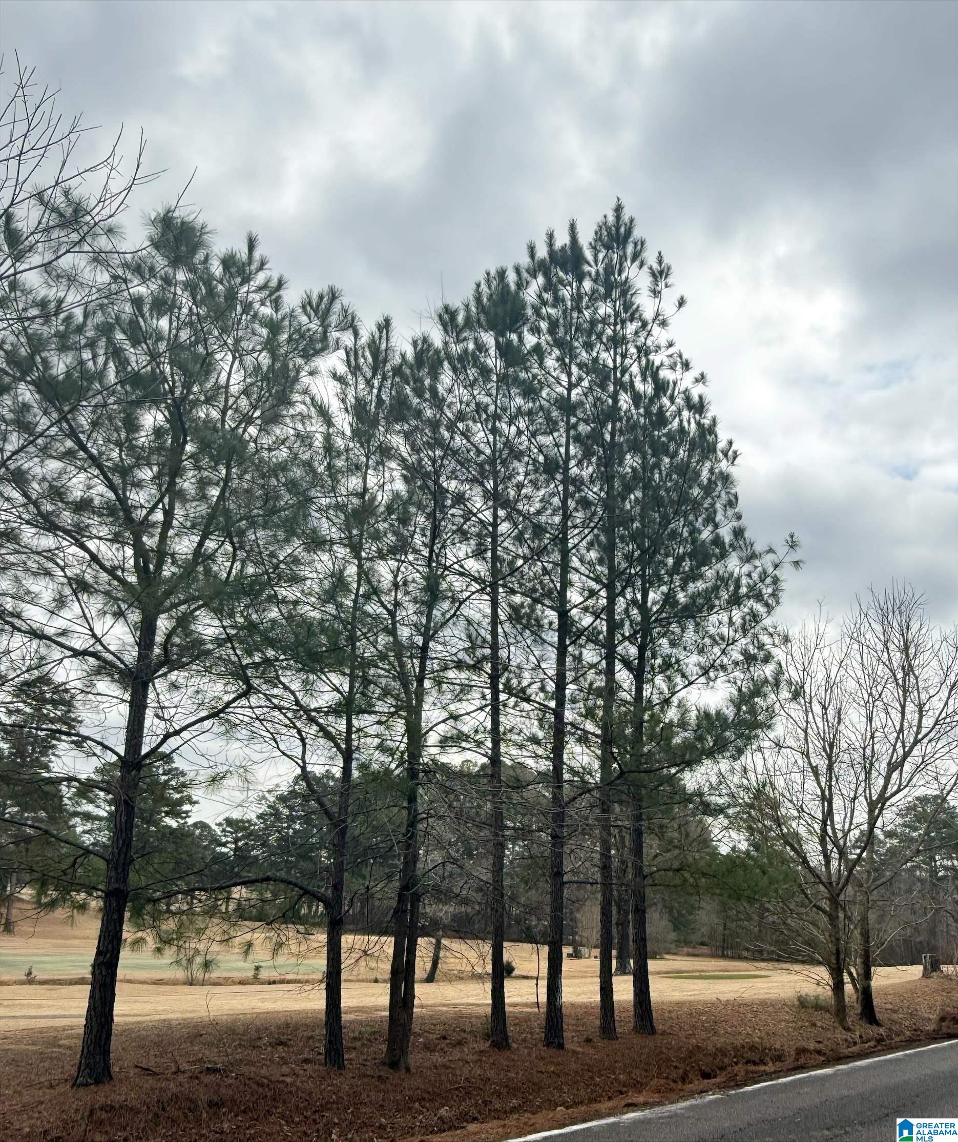 Homes for sale in Pinson, AL | 9040 Marsh Mountain Road, Pinson, AL 35126 | MLS# 21443217