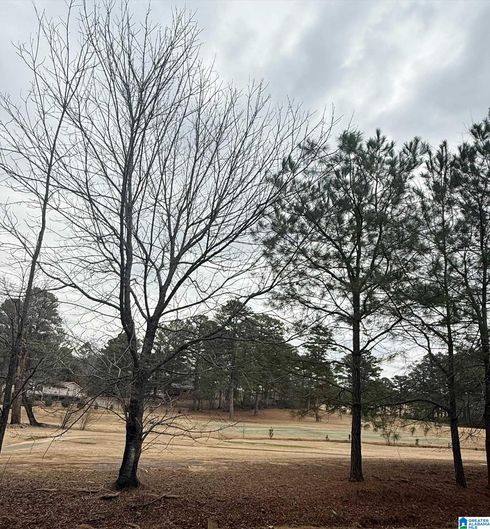 Homes for sale in Pinson, AL | 9040 Marsh Mountain Road, Pinson, AL 35126 | MLS# 21443217