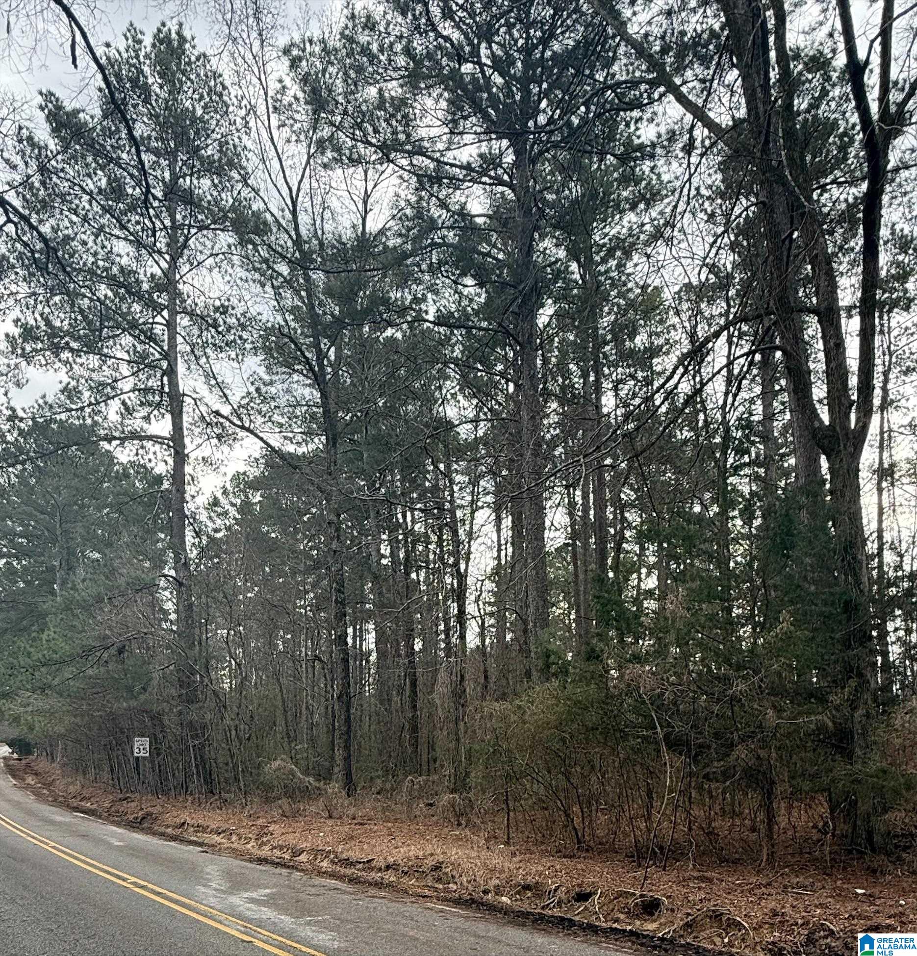 Homes for sale in Pinson, AL | 9040 Marsh Mountain Road, Pinson, AL 35126 | MLS# 21443217