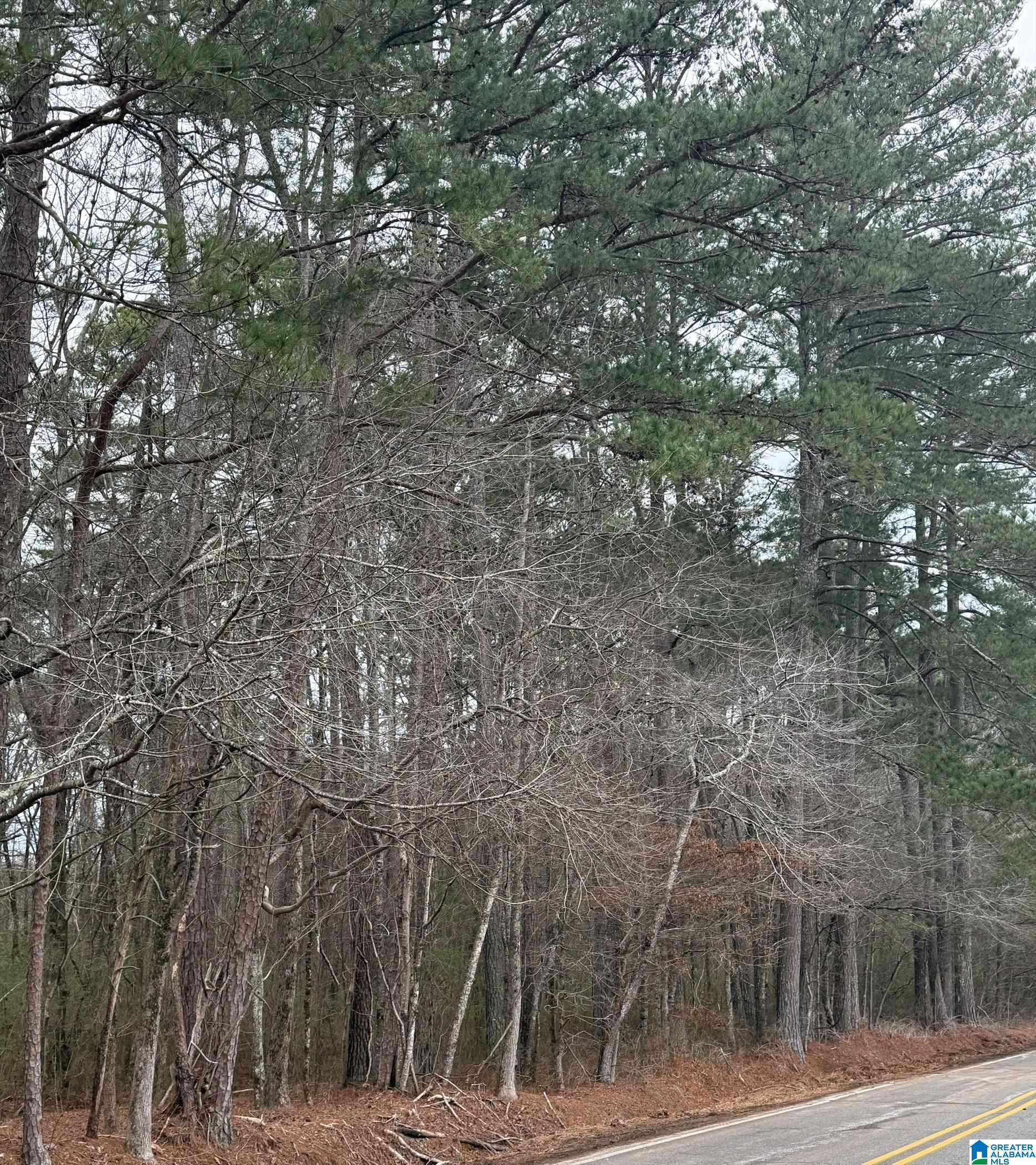 Homes for sale in Pinson, AL | 9040 Marsh Mountain Road, Pinson, AL 35126 | MLS# 21443217