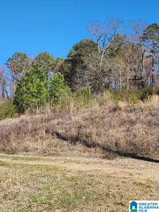 8452 HIGHWAY 119