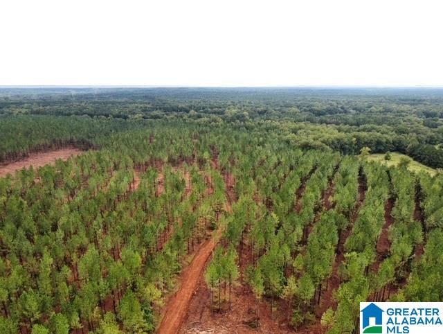 Homes for sale in Mathews, AL | Us Hwy 231, Mathews, AL 36052 | MLS# 21443231