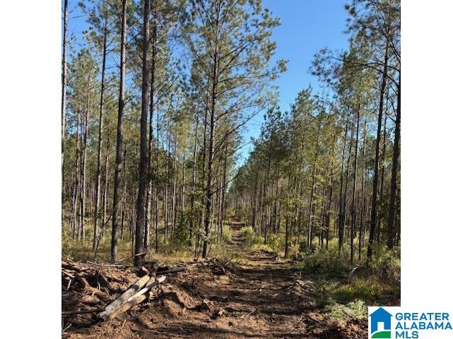 Homes for sale in Mathews, AL | Us Hwy 231, Mathews, AL 36052 | MLS# 21443231