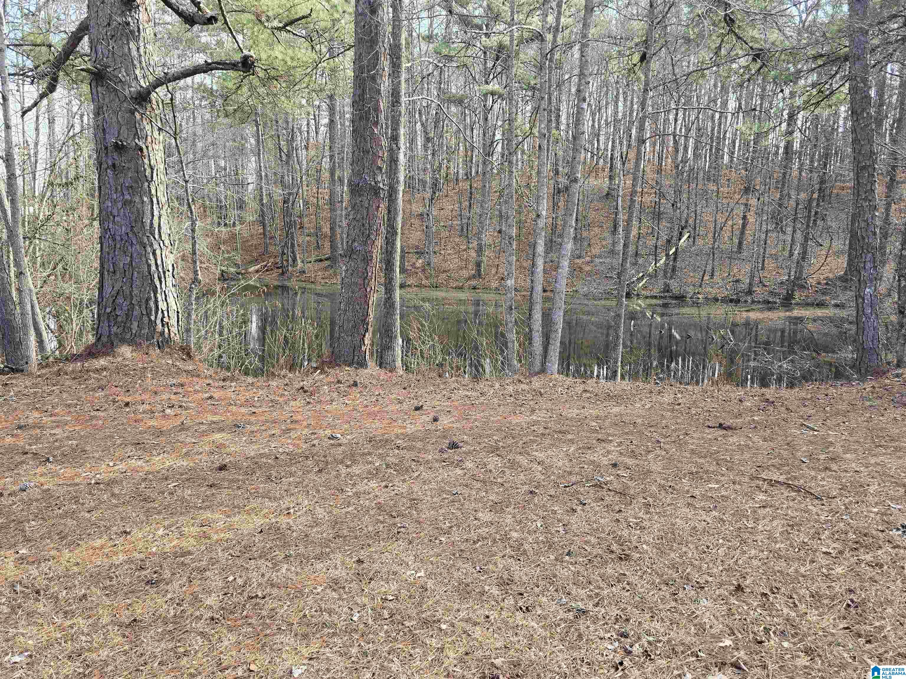 Homes for sale in Talladega, AL | 1958 Horns Lake Road, Talladega, AL 35160 | MLS# 21443265