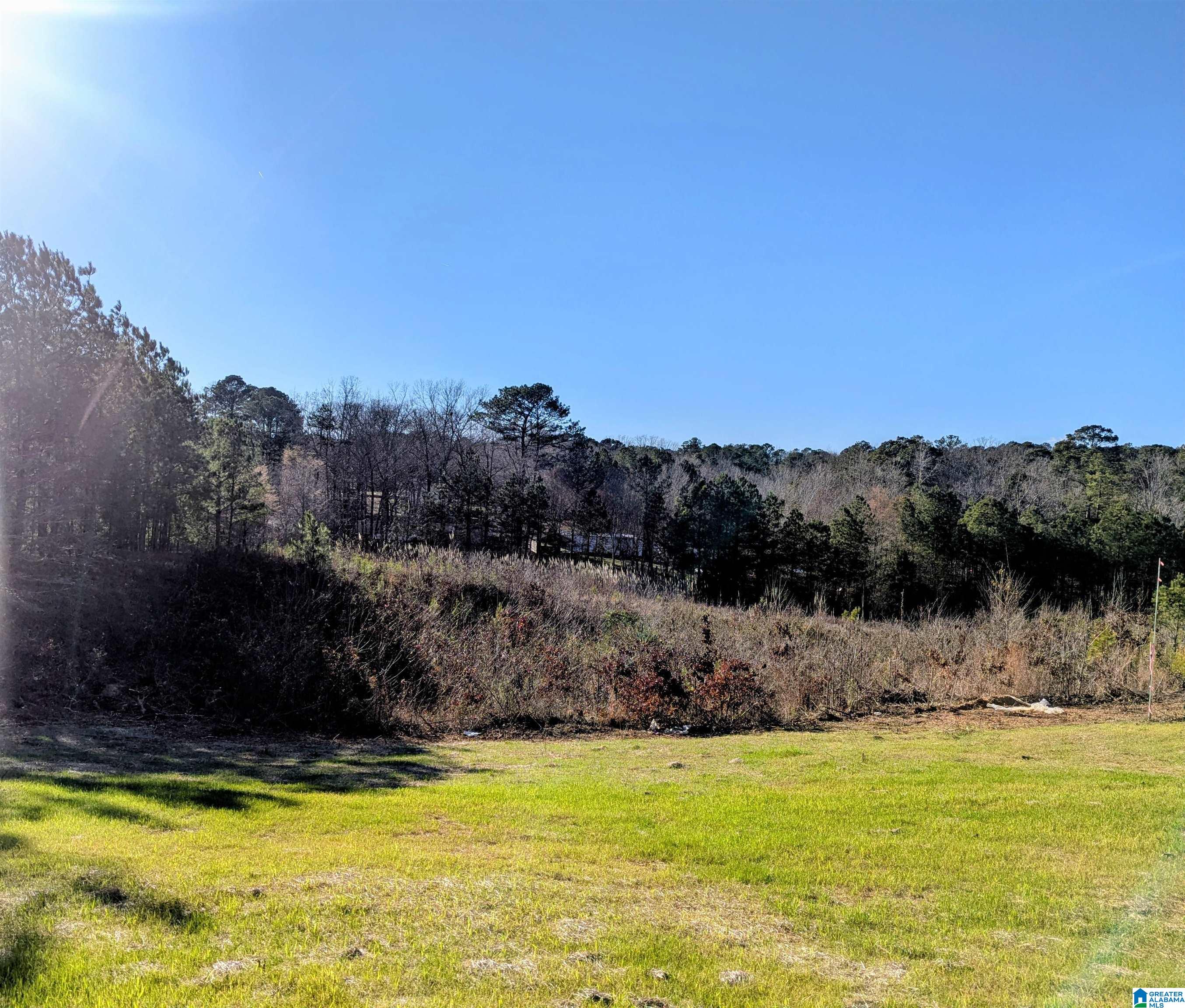 Homes for sale in Lake View, AL | 12800 Honeysuckle Circle, Lake View, AL 35111 | MLS# 21443275