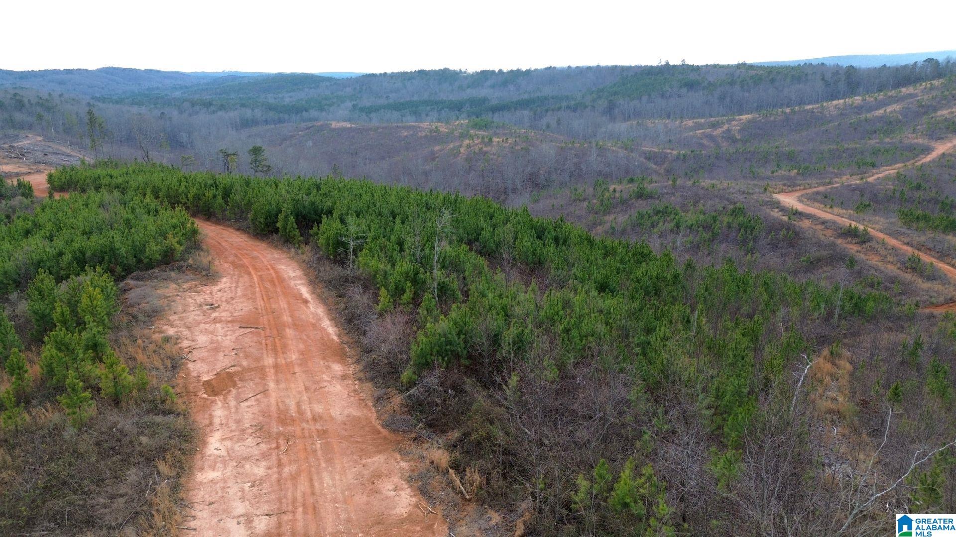 Homes for sale in Lineville, AL | Hwy 49, Lineville, AL 36266 | MLS# 21443280