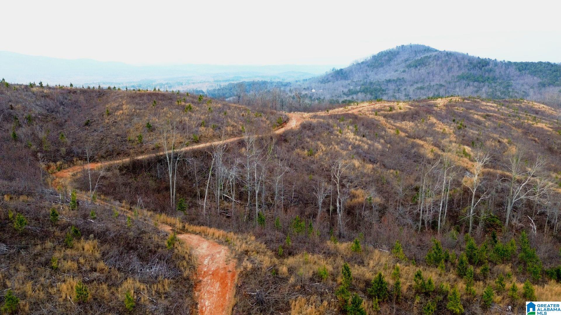 Homes for sale in Lineville, AL | Hwy 49, Lineville, AL 36266 | MLS# 21443280