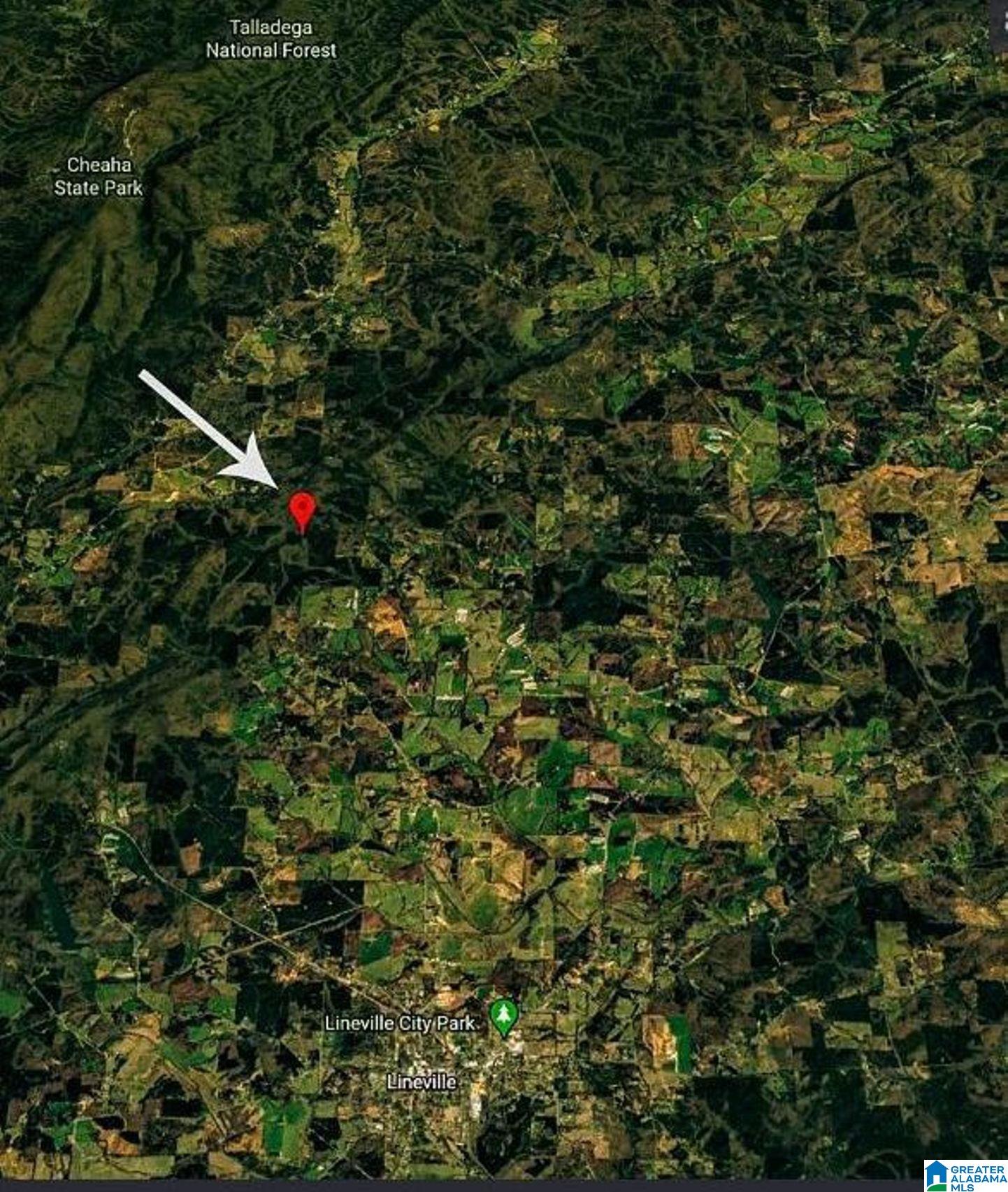 Homes for sale in Lineville, AL | Hwy 49, Lineville, AL 36266 | MLS# 21443280