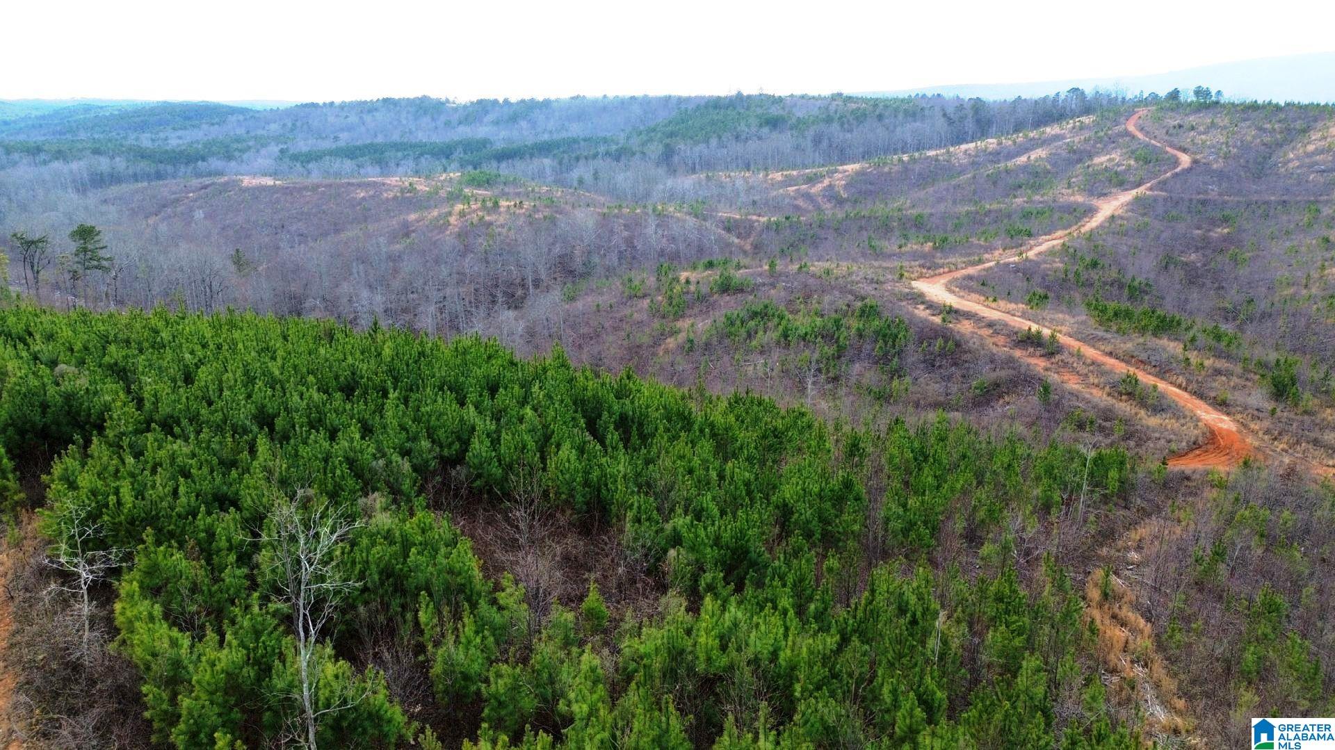 Homes for sale in Lineville, AL | Hwy 49, Lineville, AL 36266 | MLS# 21443280