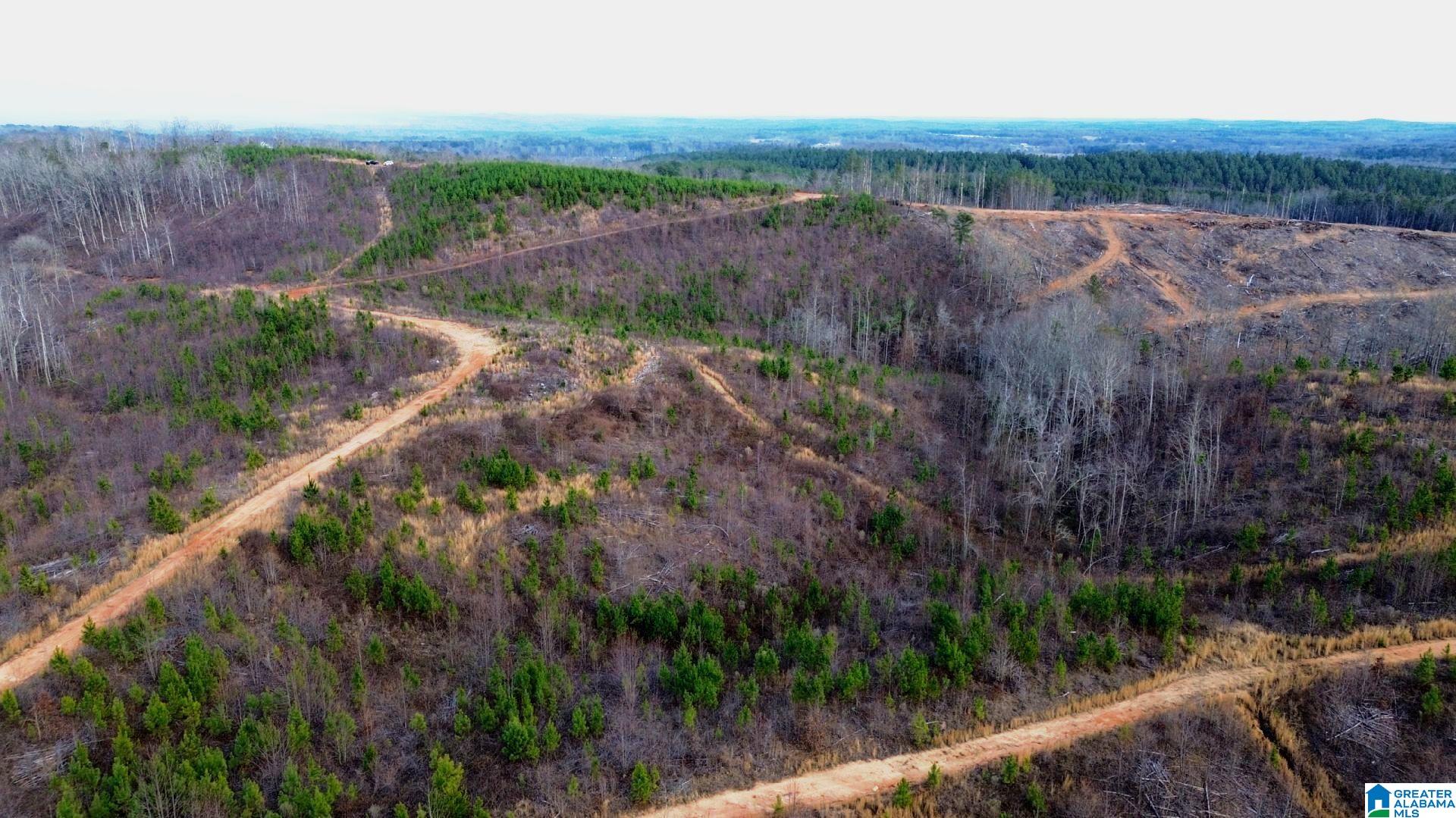 Homes for sale in Lineville, AL | Hwy 49, Lineville, AL 36266 | MLS# 21443280