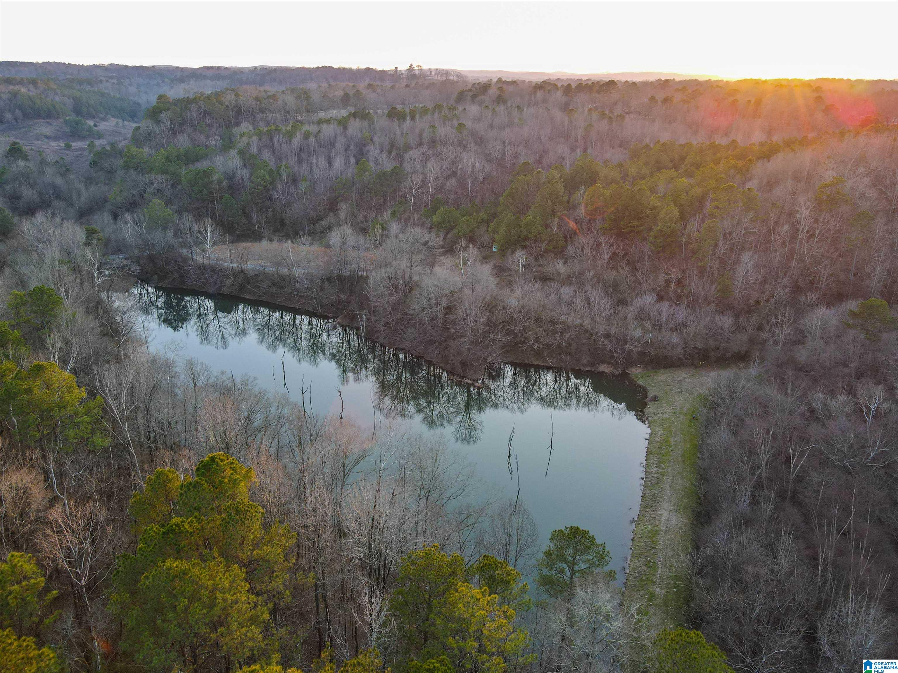 Homes for sale in Empire, AL | 01 Hull Road, Empire, AL 35063 | MLS# 21443286