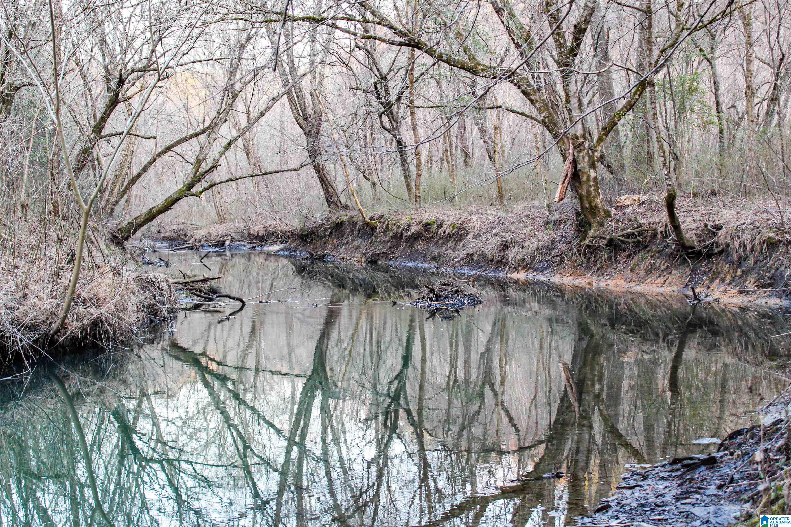 Homes for sale in Empire, AL | 01 Hull Road, Empire, AL 35063 | MLS# 21443286