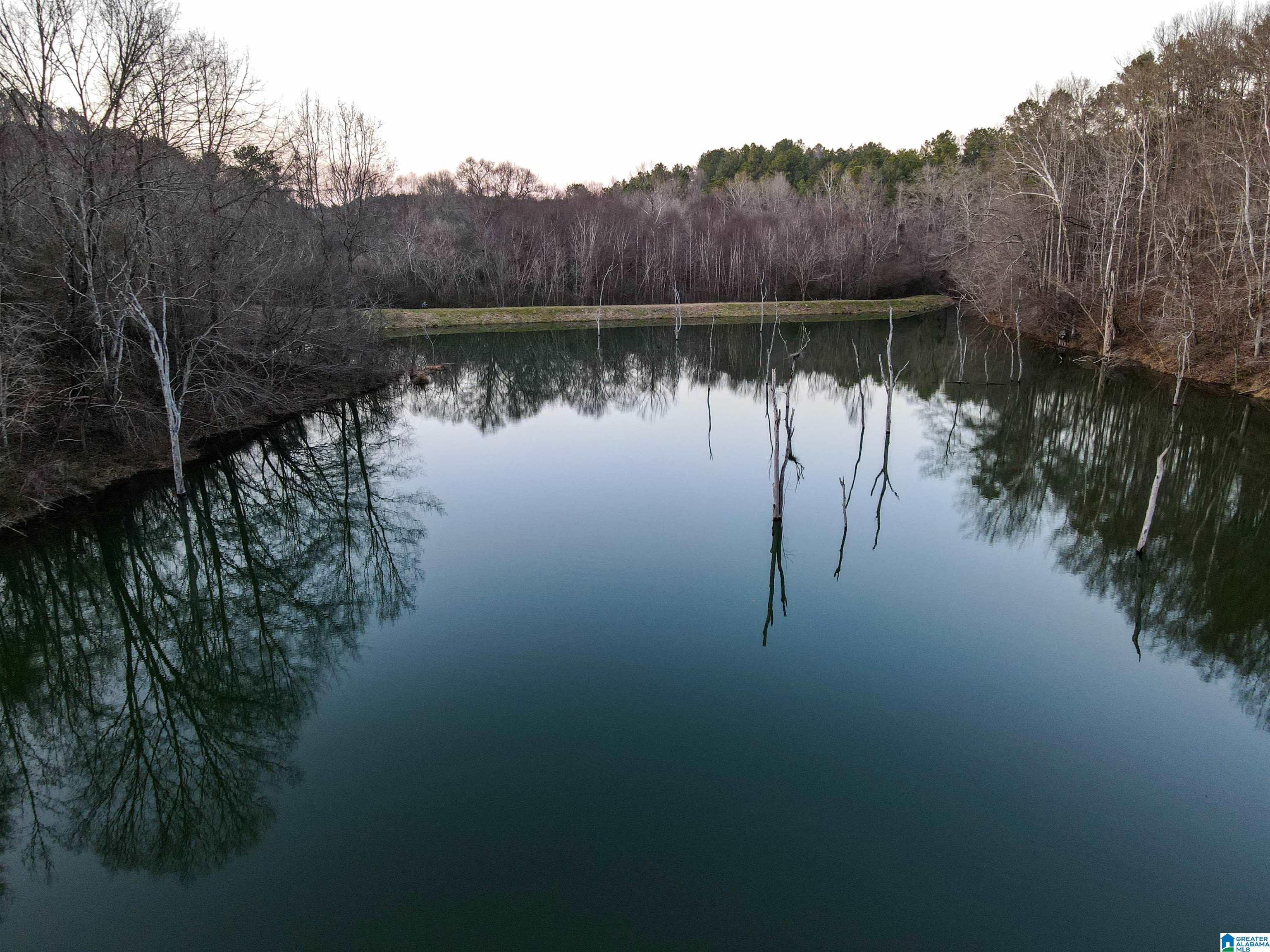 Homes for sale in Empire, AL | 01 Hull Road, Empire, AL 35063 | MLS# 21443286