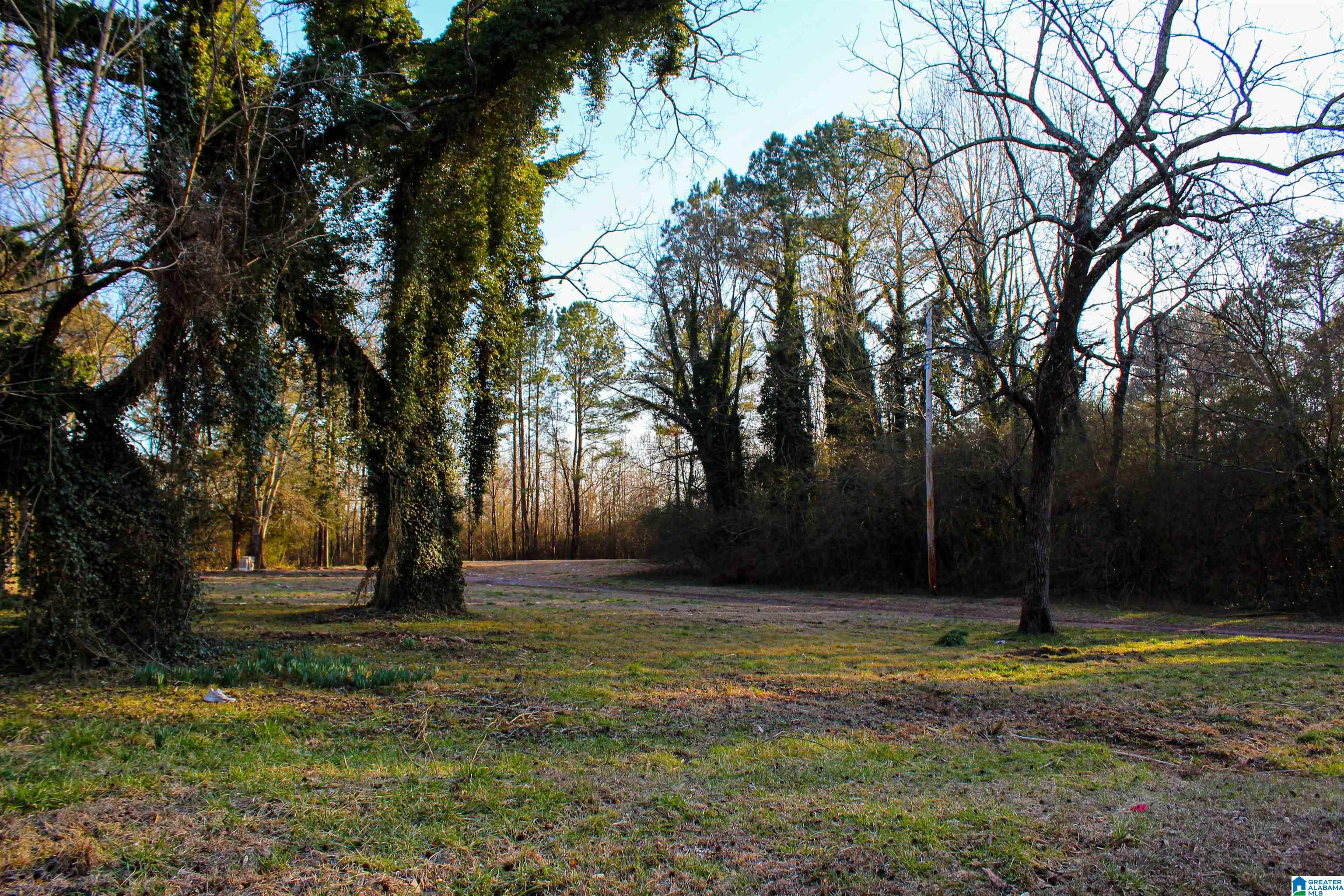 Homes for sale in Empire, AL | 01 Hull Road, Empire, AL 35063 | MLS# 21443286