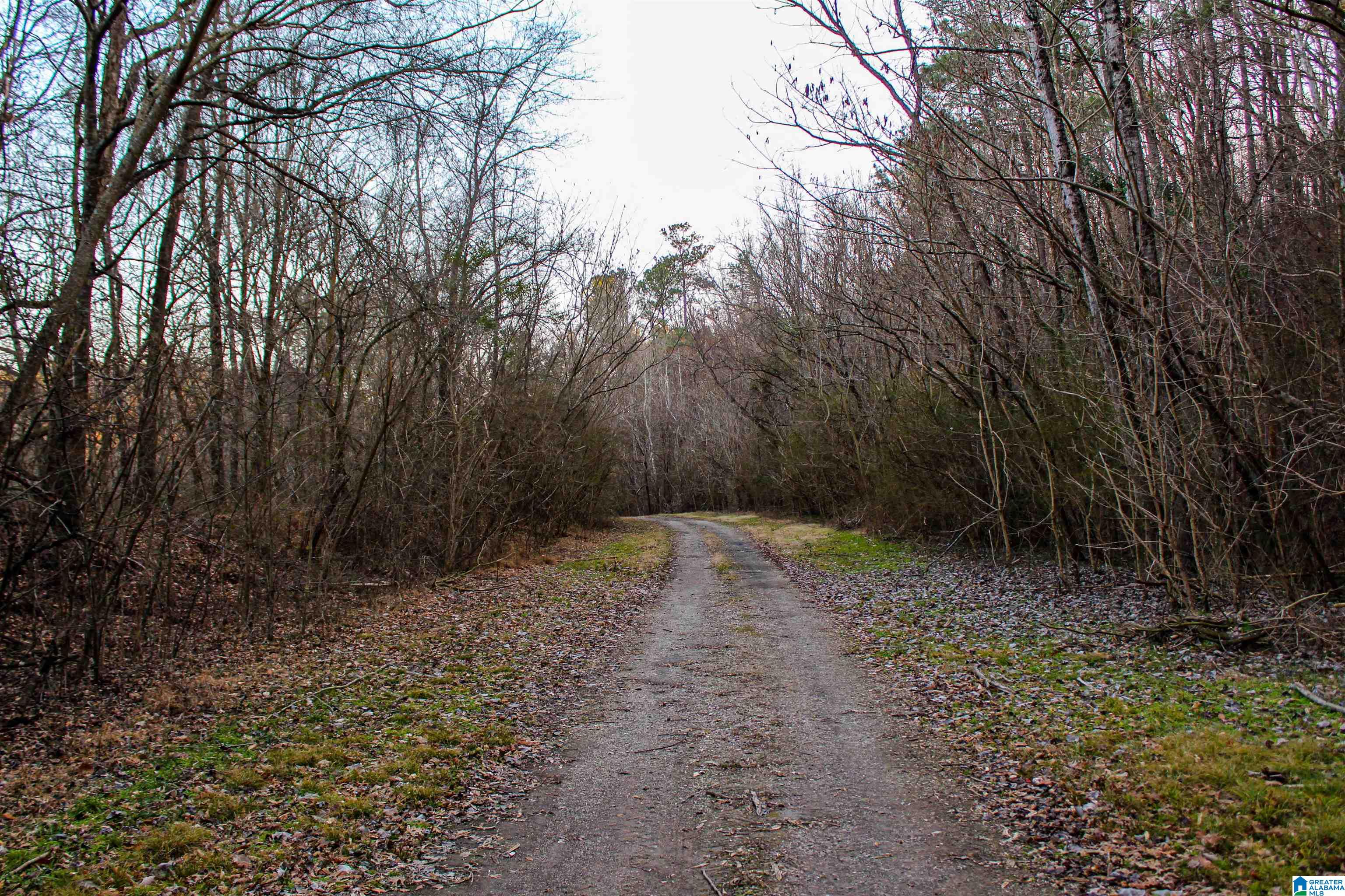 Homes for sale in Empire, AL | 01 Hull Road, Empire, AL 35063 | MLS# 21443286