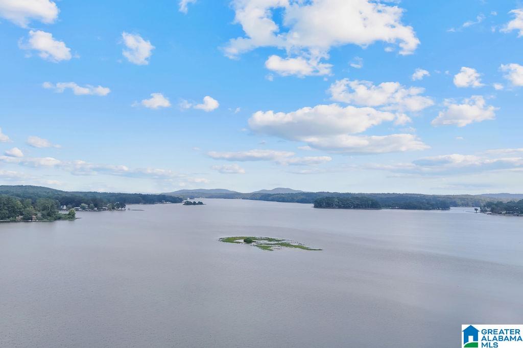 Homes for sale in Shelby, AL | 154 Spring Creek Camp Road, Shelby, AL 35143 | MLS# 21443373