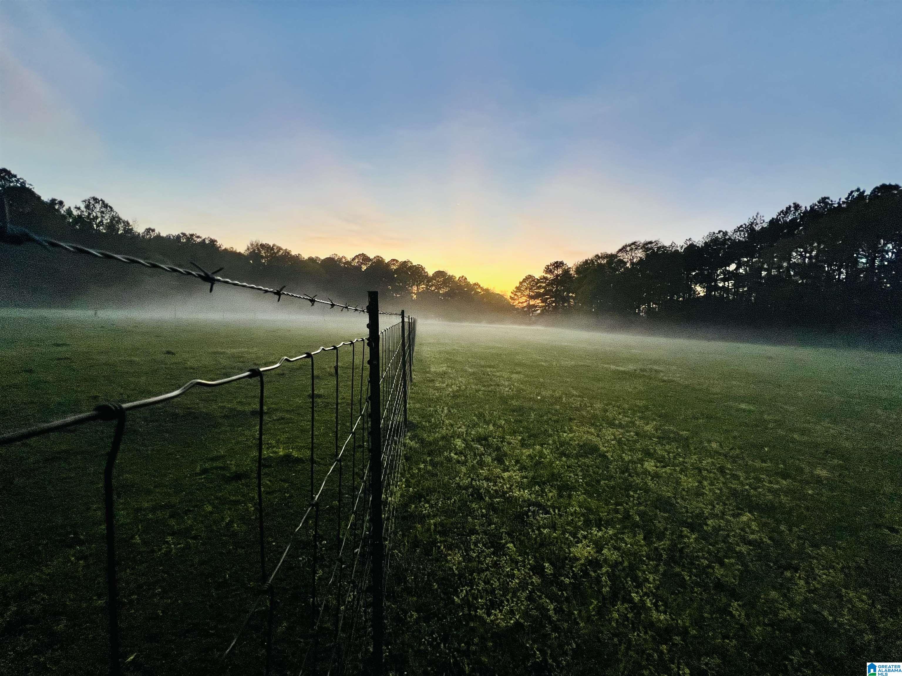 Homes for sale in Harpersville, AL | 383 Country Church Road, Harpersville, AL 35078 | MLS# 21443379